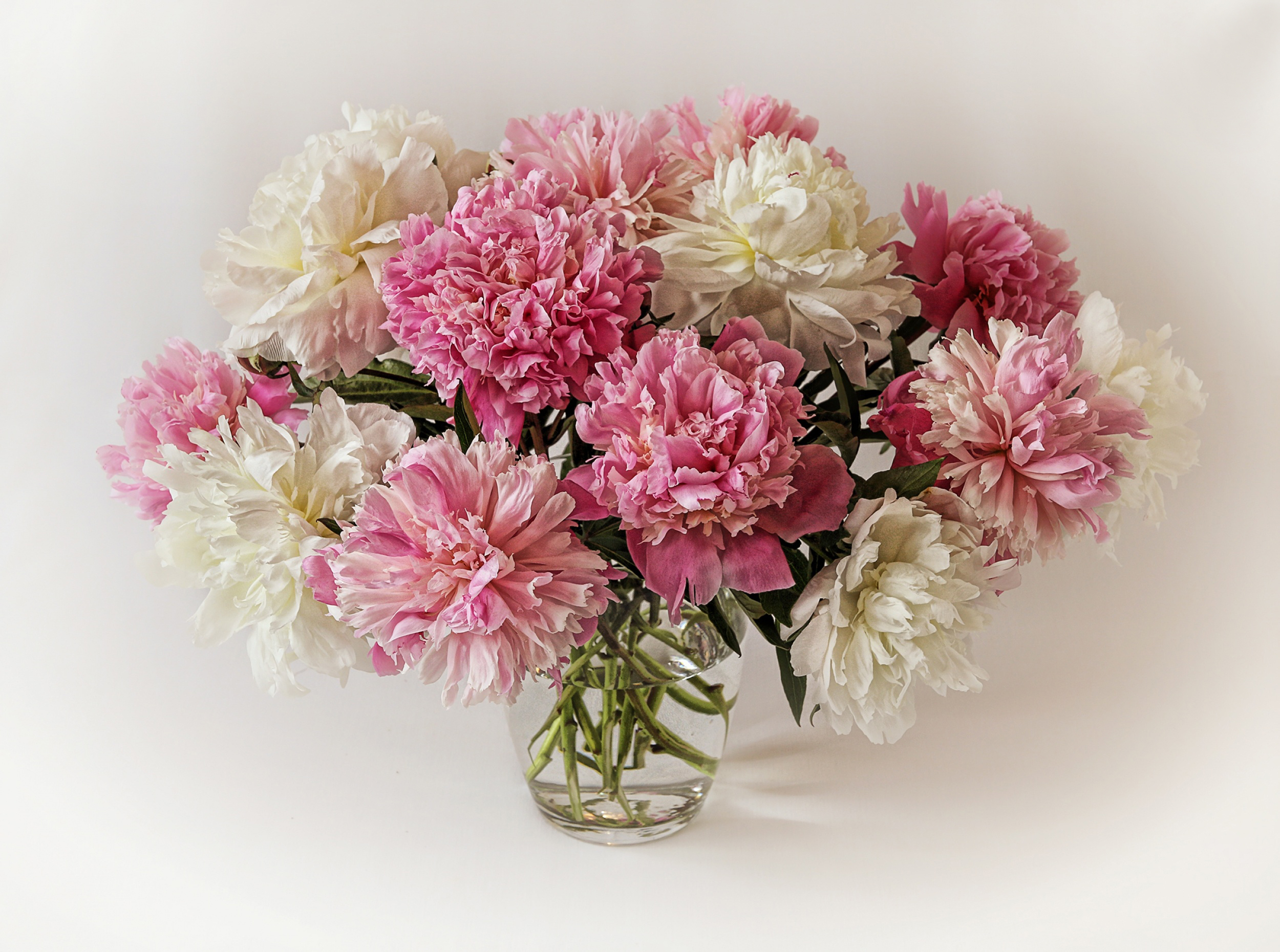 Обои цветы, букет, ваза, пионы, flowers, bouquet, vase, peonies разрешение 2500x1860 Загрузить