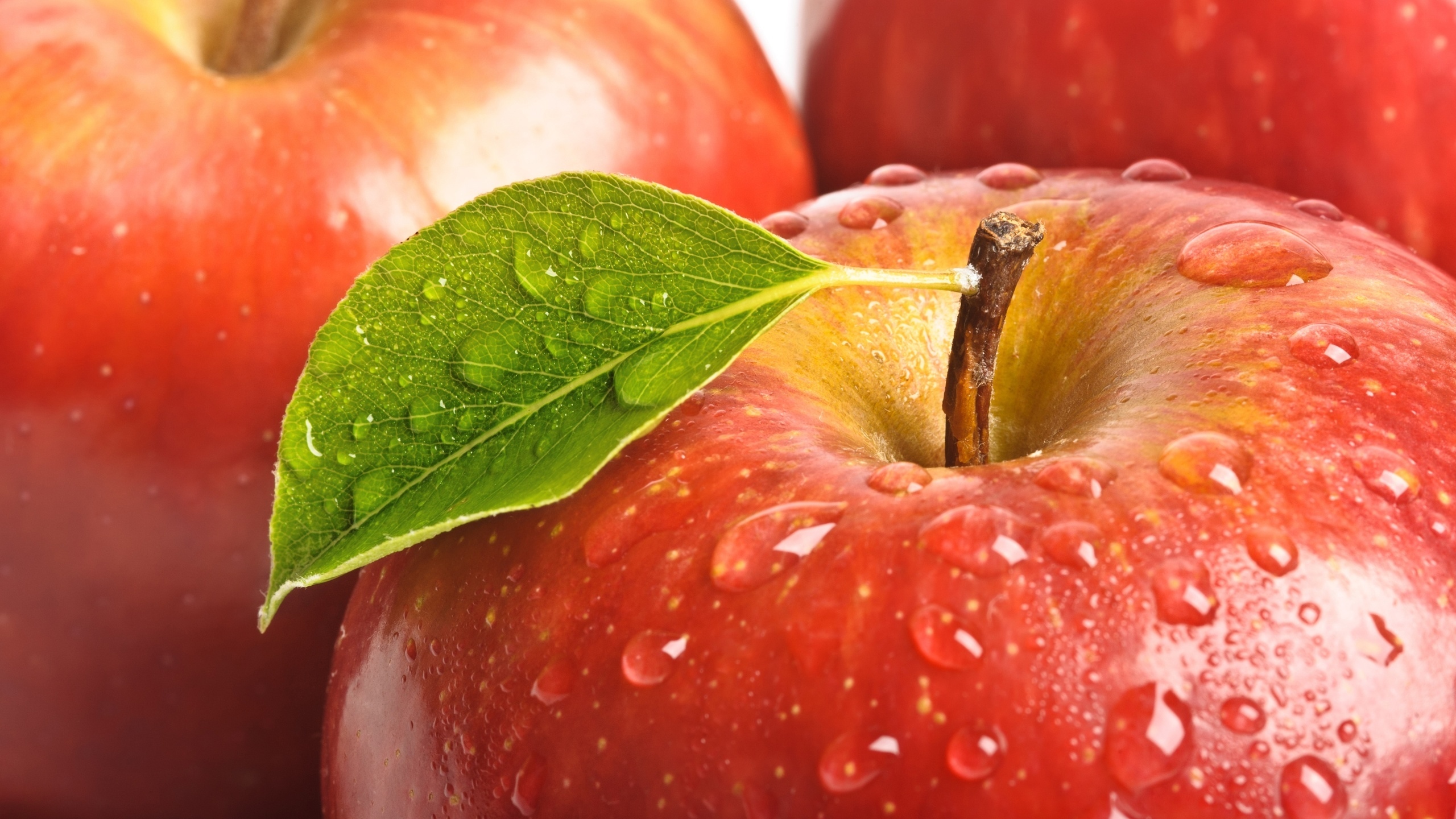 Обои макро, капли, фрукты, листок, яблоко, красное, сочное, macro, drops, fruit, leaf, apple, red, juicy разрешение 2560x1440 Загрузить