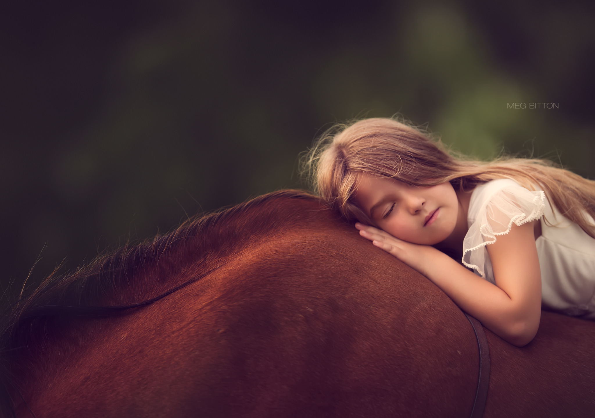 Девочка с лошадкой. Мэг Биттон. Девушка с лошадью. Красивые дети и лошади. Девочка на лошади.