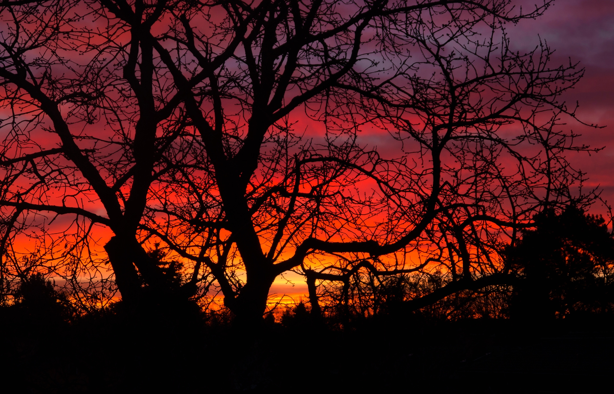 Обои небо, облака, деревья, закат, силуэт, the sky, clouds, trees, sunset, silhouette разрешение 2048x1317 Загрузить