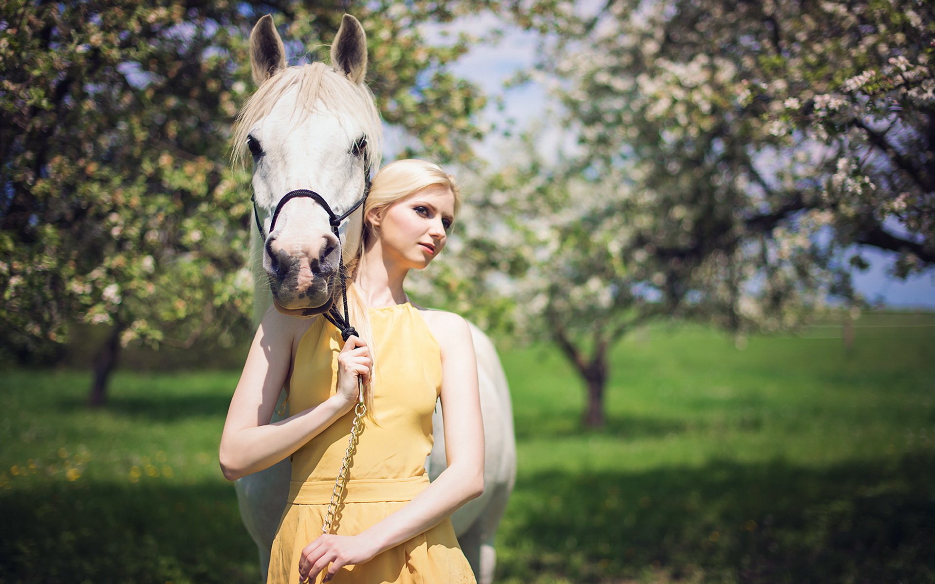 Верховая женщина. Фотосессия с лошадьми. Девушка с лошадью. Весенняя фотосессия с лошадью. Фотосессия с лошадью в платье.