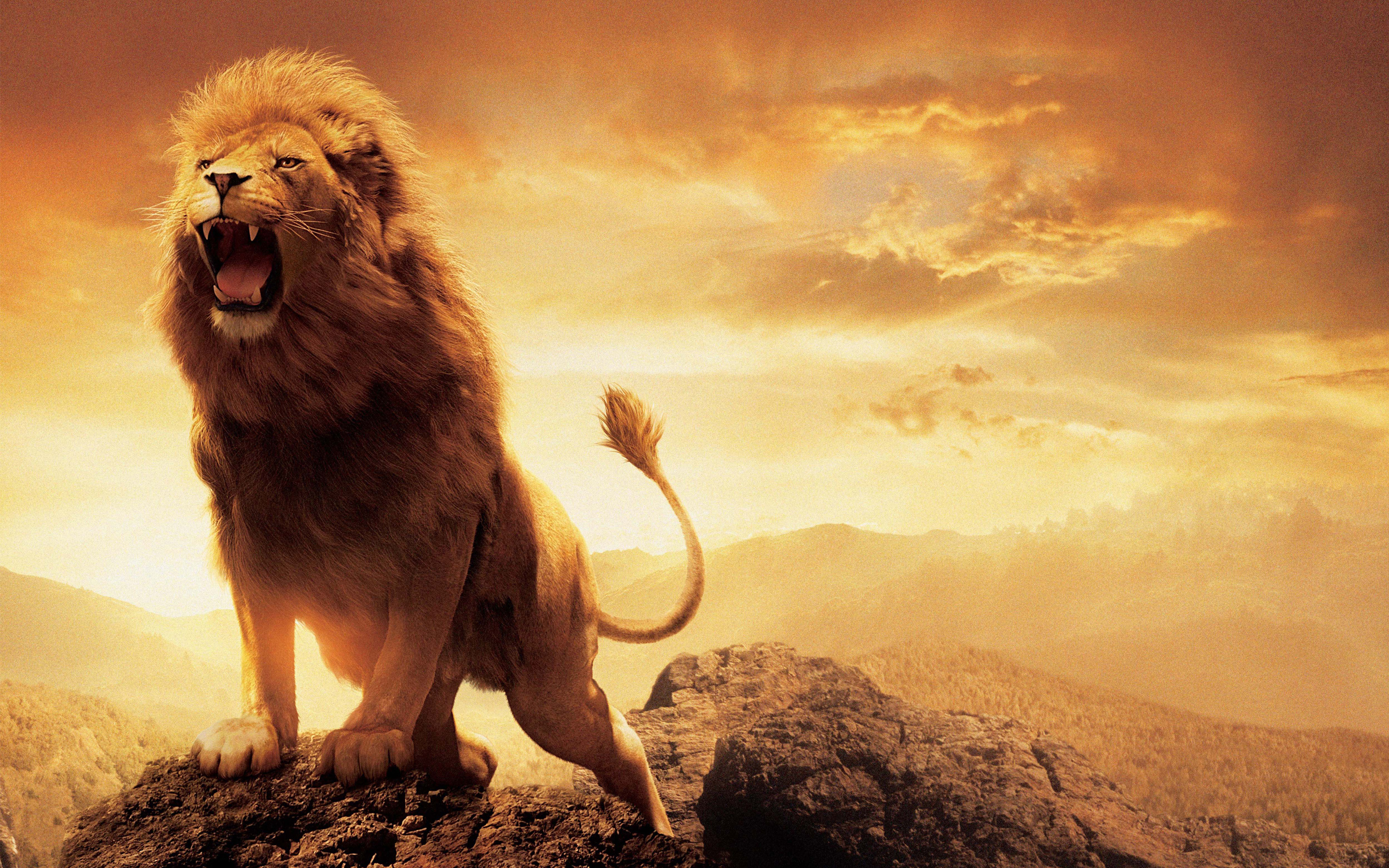 Por que el leon es el rey de la selva