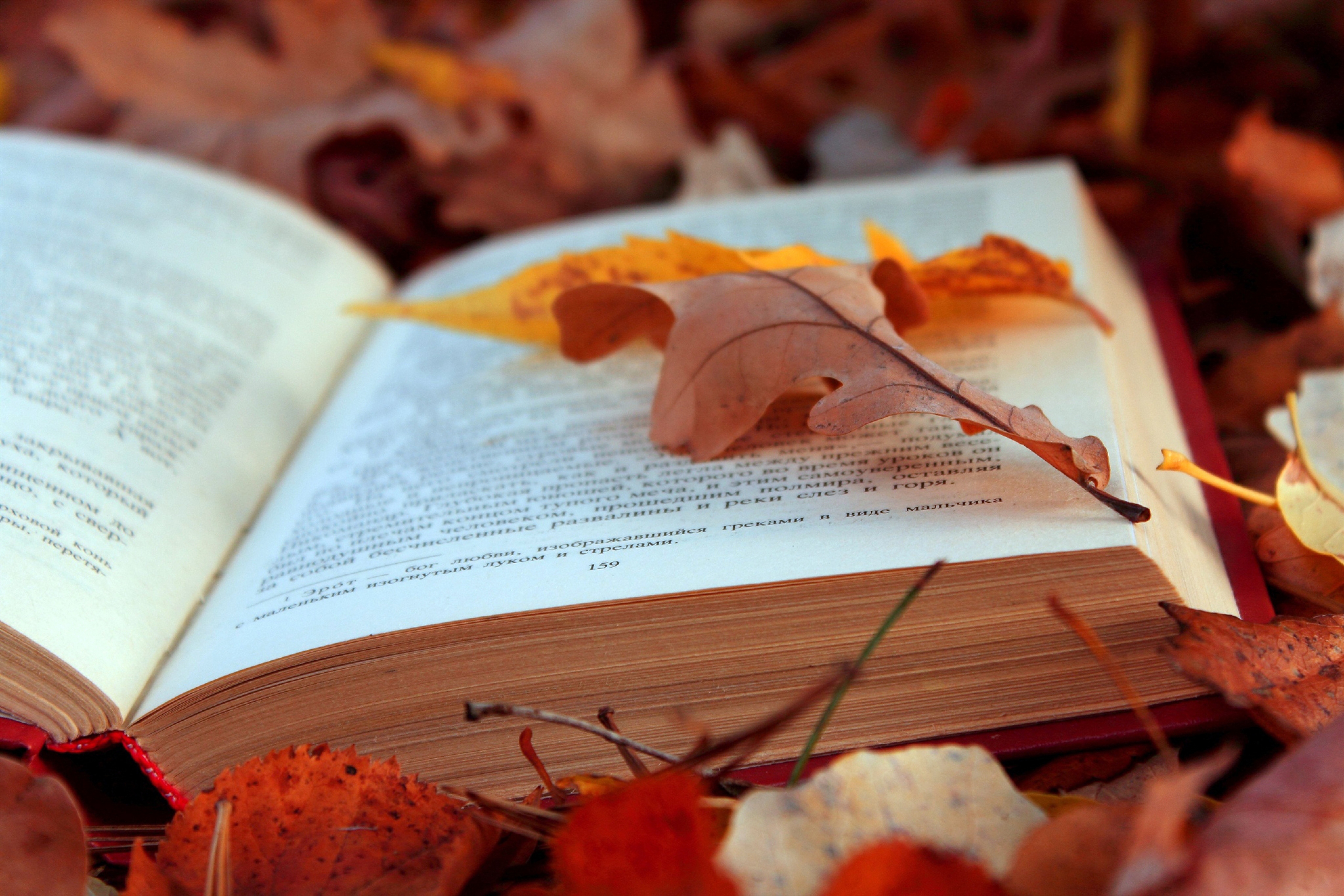 Музыка фон для чтения стихов. Обои на рабочий стол книги. Книги про осень. Красивый фон с книгами. Поэтическая осень.
