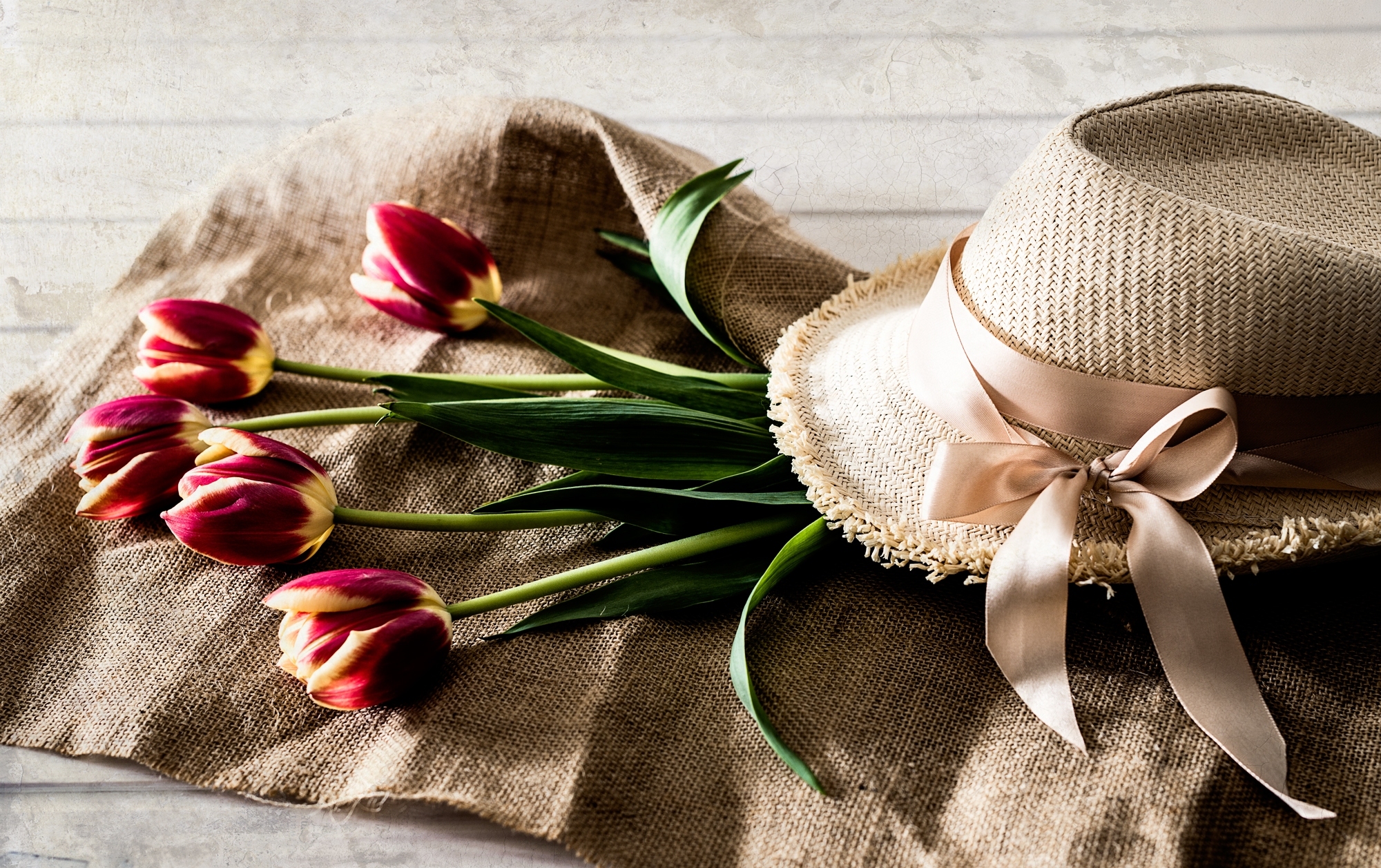 Шляпа растение. Шляпа цветок. Шляпа с цветами. Шляпка "тюльпан". Шляпа на столе.