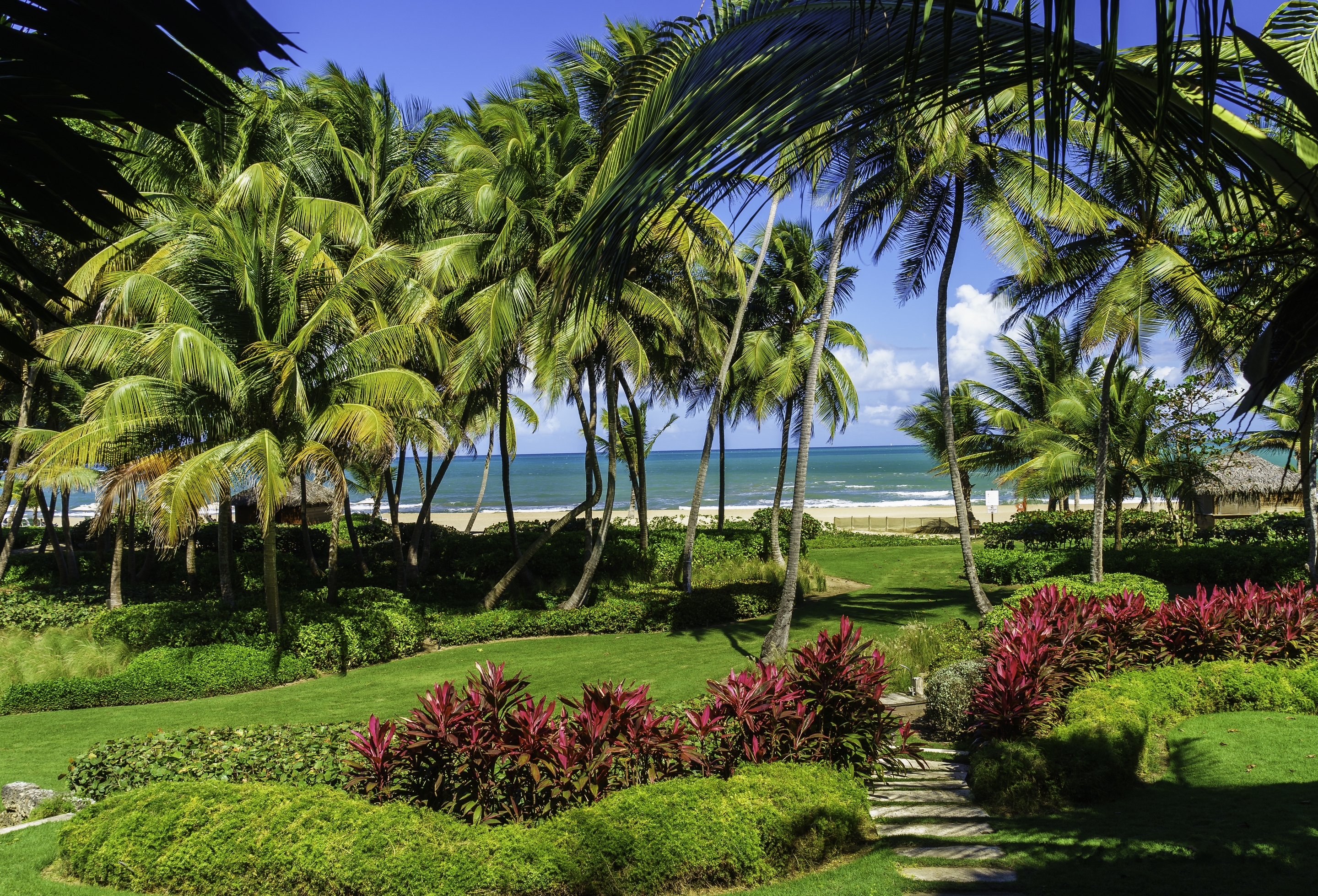 Обои пляж, пальмы, море.берег, сан-хуане, пуэрто-рико, beach, palm trees, sea.shore, san juan, puerto rico разрешение 2880x1959 Загрузить