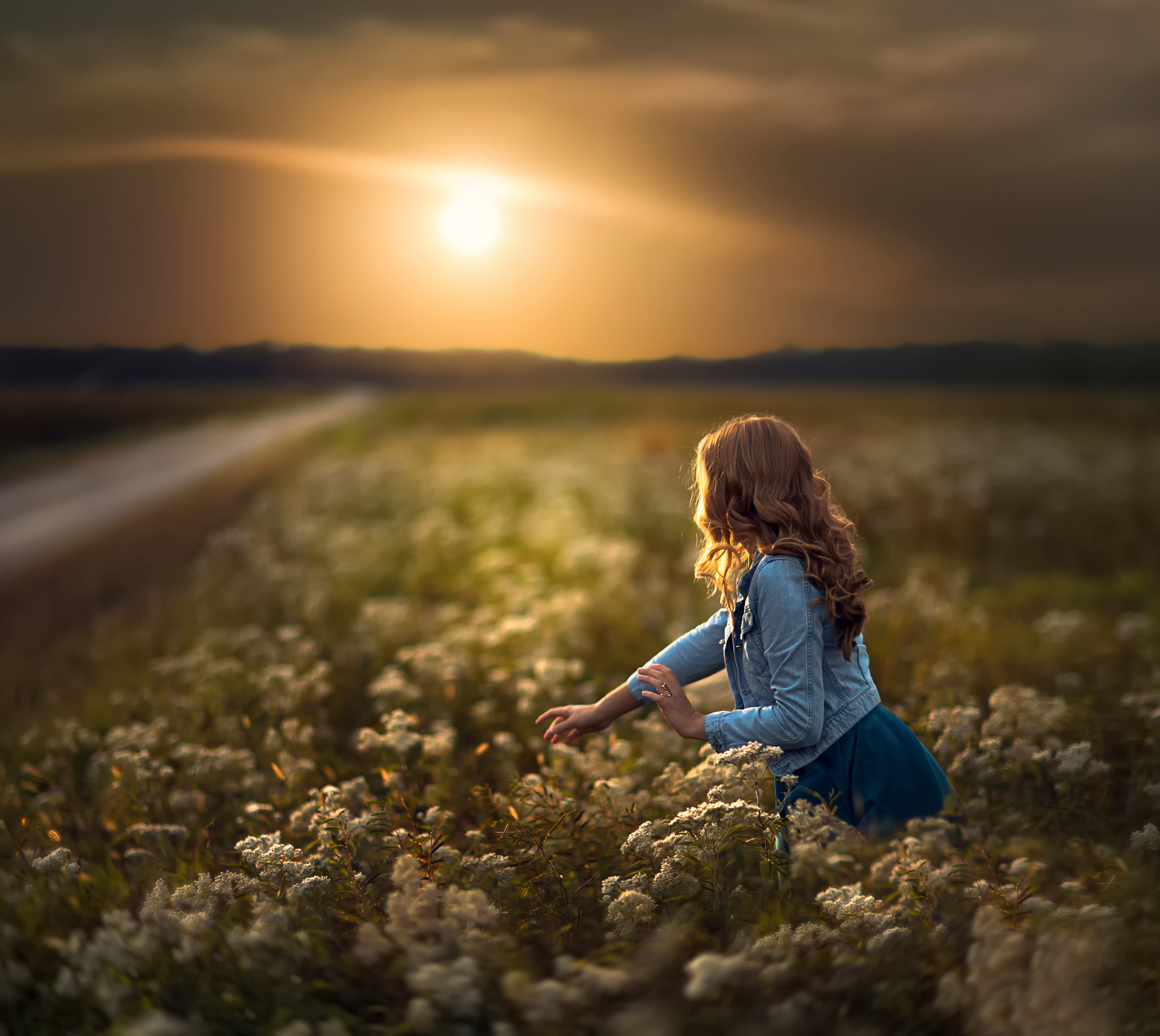 Обои дорога, цветы, солнце, девушка, поле, road, flowers, the sun, girl, field разрешение 2048x1829 Загрузить