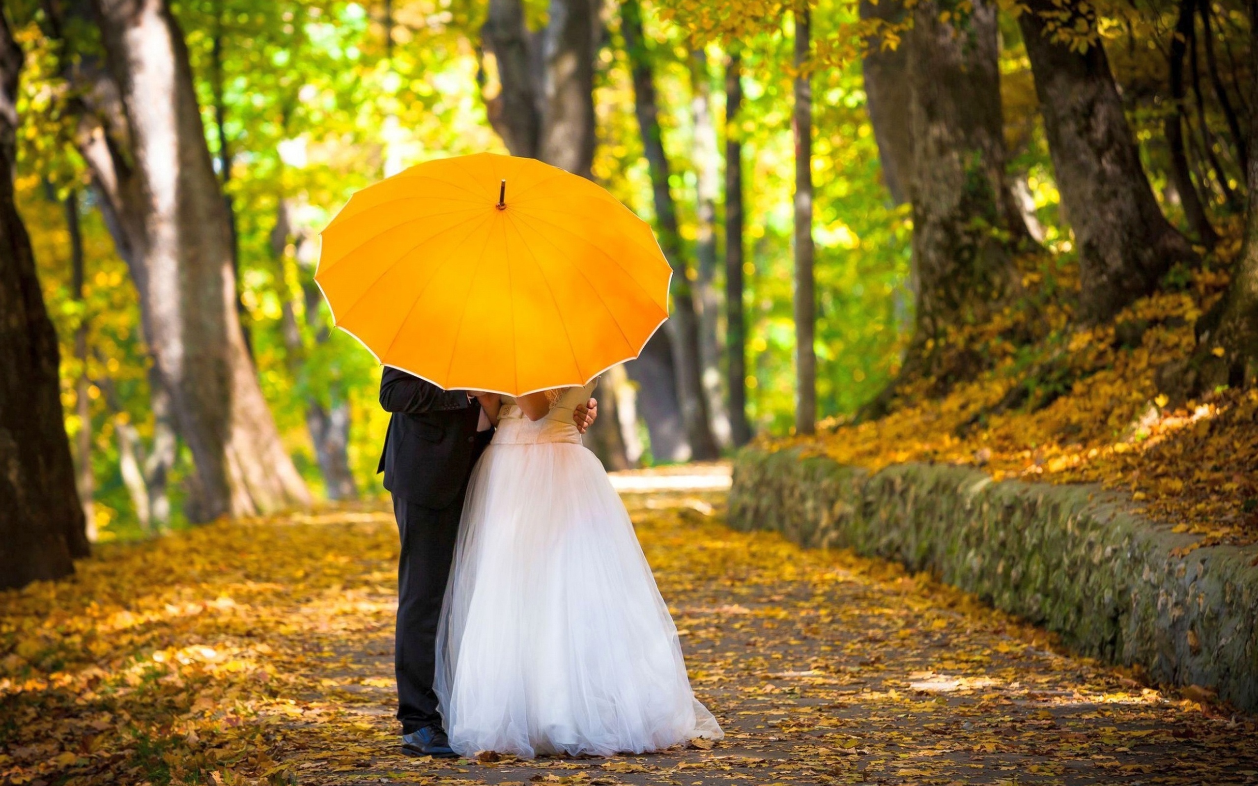 Обои зонтик, жених, невеста, композиция, umbrella, the groom, the bride, composition разрешение 2560x1600 Загрузить