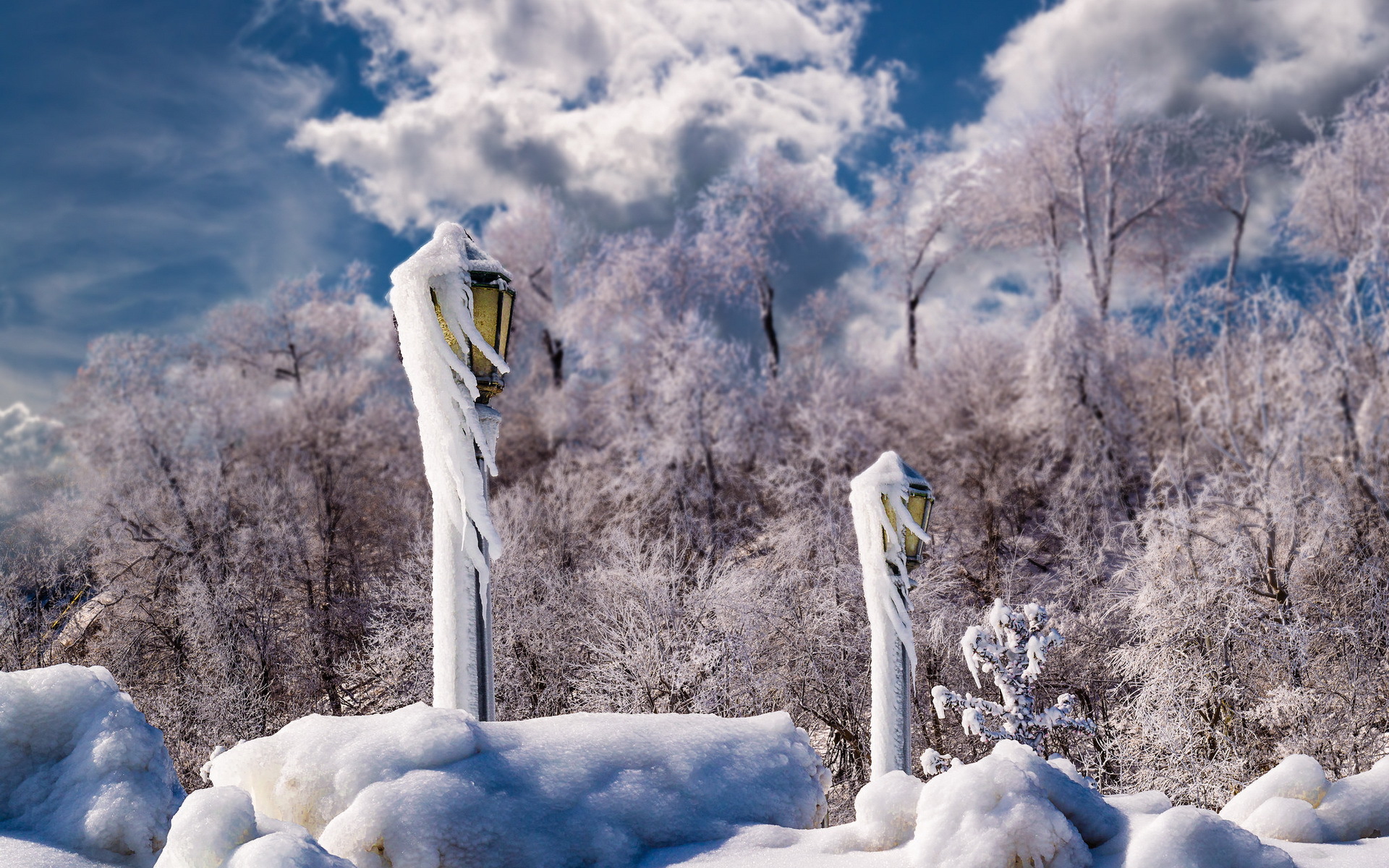 Обои снег, пейзаж, светильники, snow, landscape, lamps разрешение 1920x1200 Загрузить