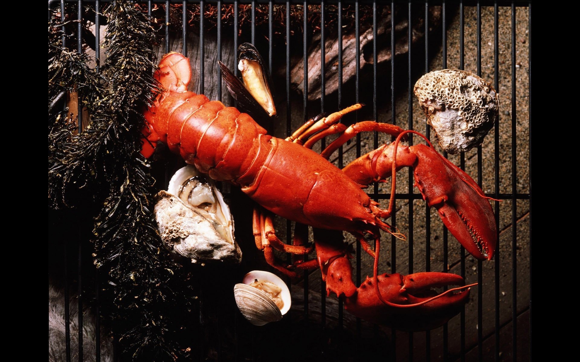 Обои решетка, морепродукты, устрицы, лобстер, grille, seafood, oysters, lobster разрешение 1920x1200 Загрузить