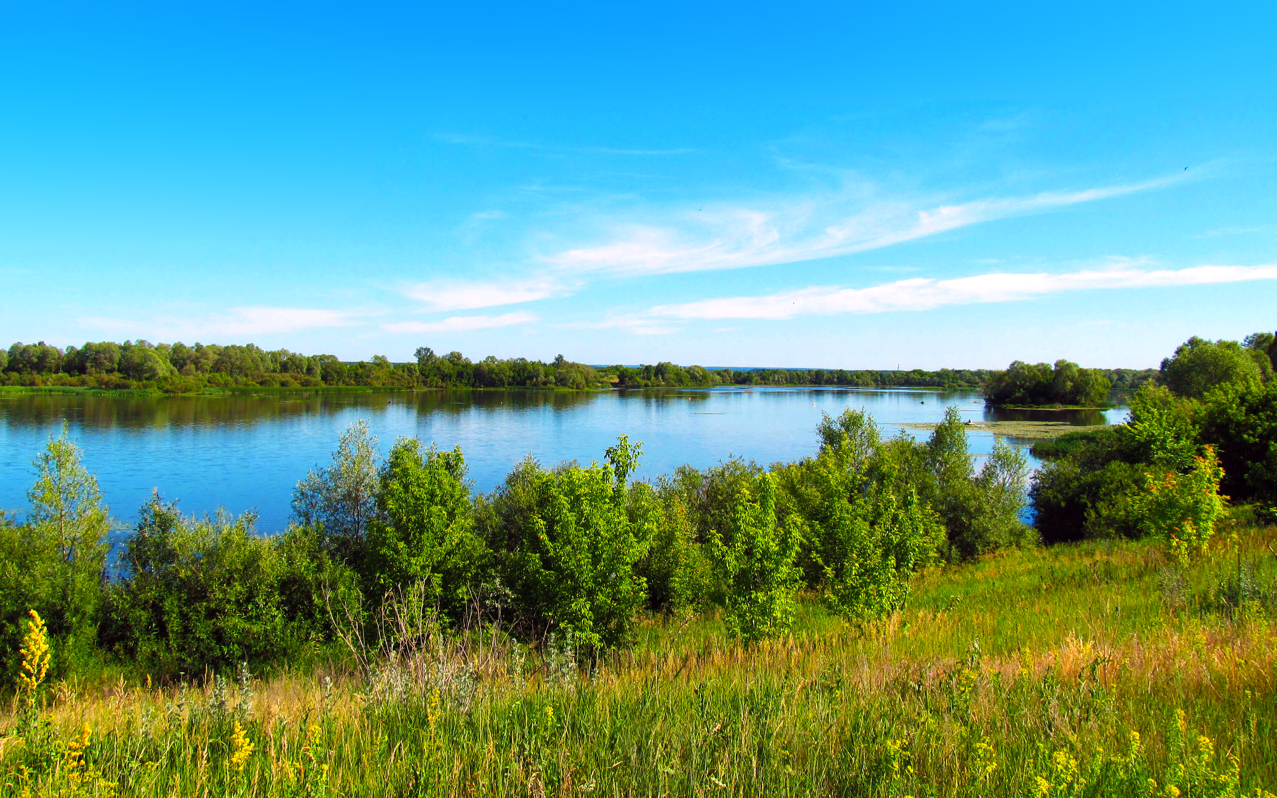 Обои озеро, лето, lake, summer разрешение 2560x1600 Загрузить