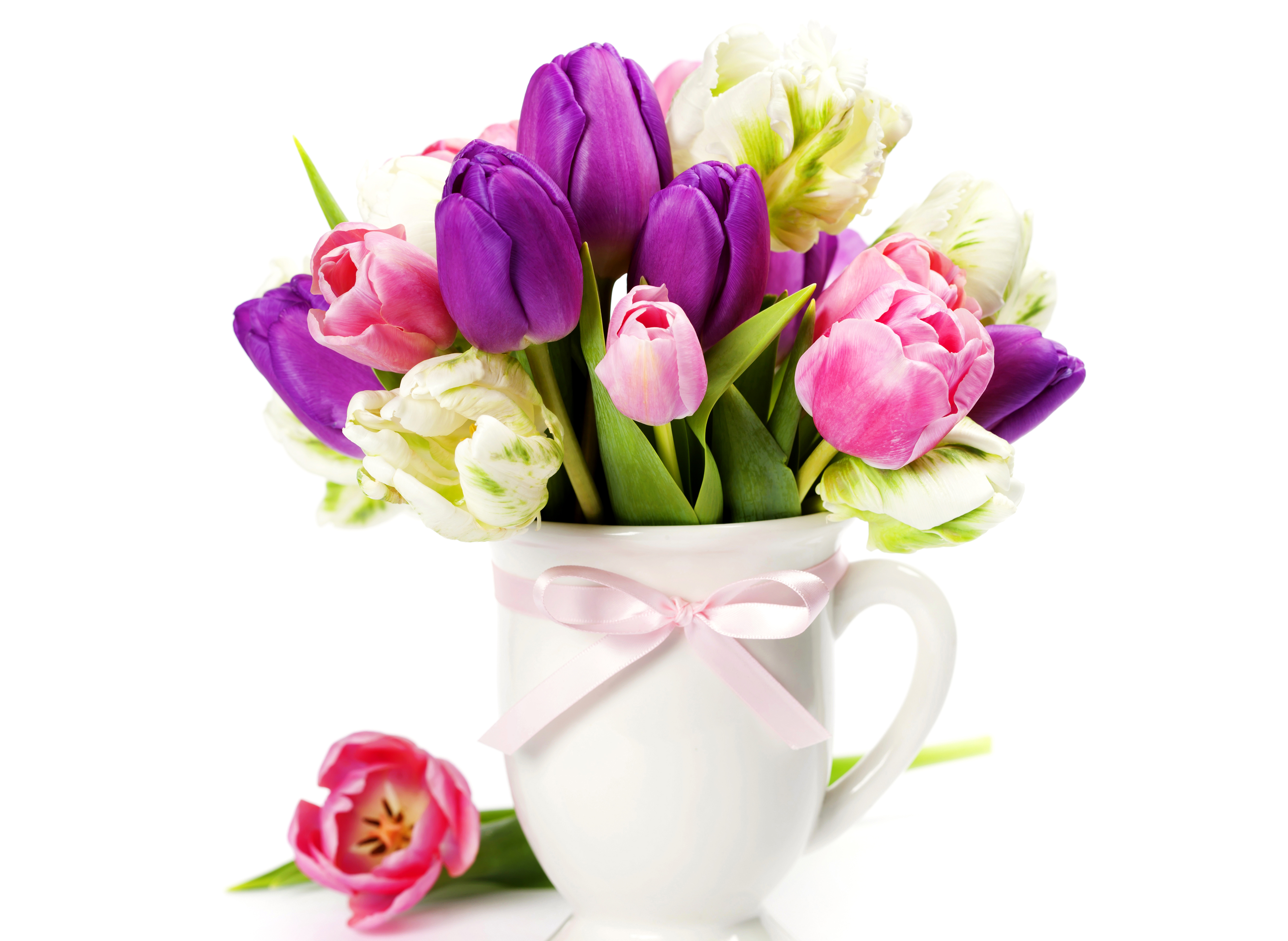 Обои весна, букет, тюльпаны, розовые, фиолетовые, тульпаны, spring, bouquet, tulips, pink, purple разрешение 5000x3653 Загрузить