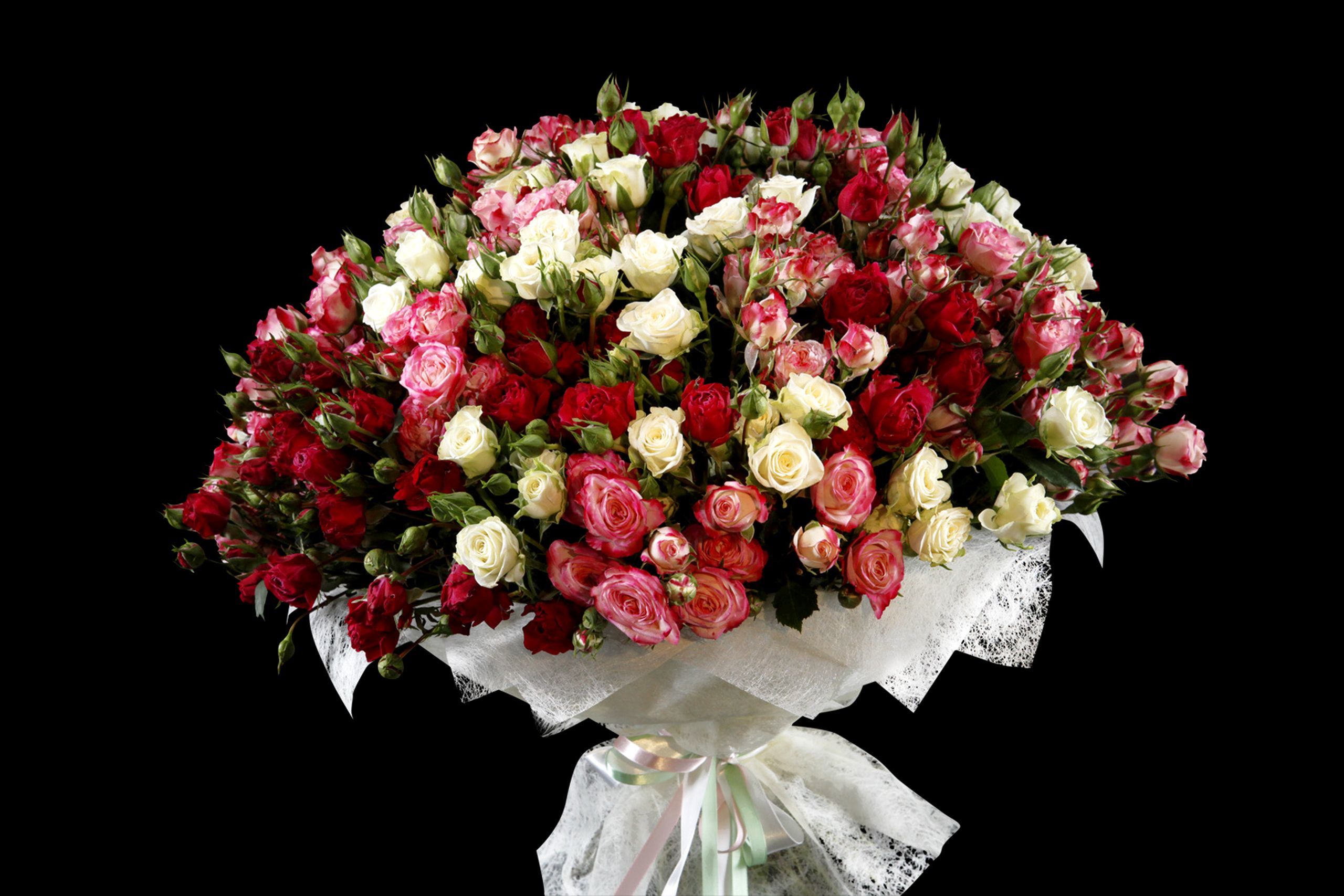 Обои цветы, розы, красота, черный фон, букет, flowers, roses, beauty, black background, bouquet разрешение 2560x1707 Загрузить