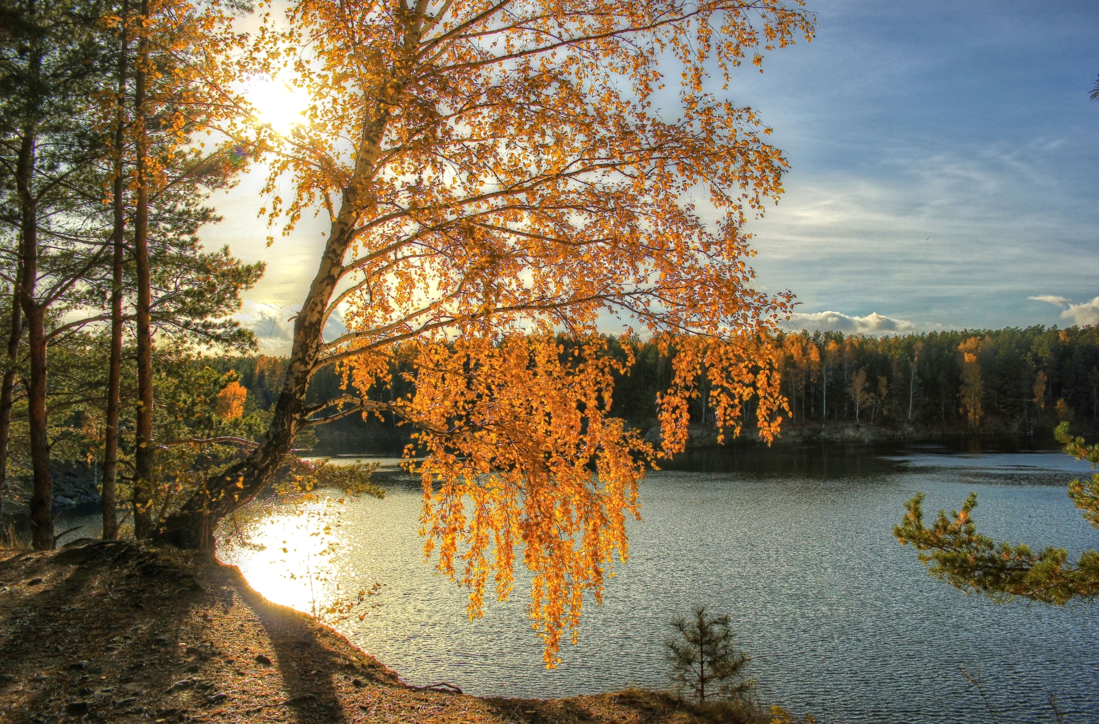 Обои свет, река, солнце, осень, береза, light, river, the sun, autumn, birch разрешение 2200x1450 Загрузить