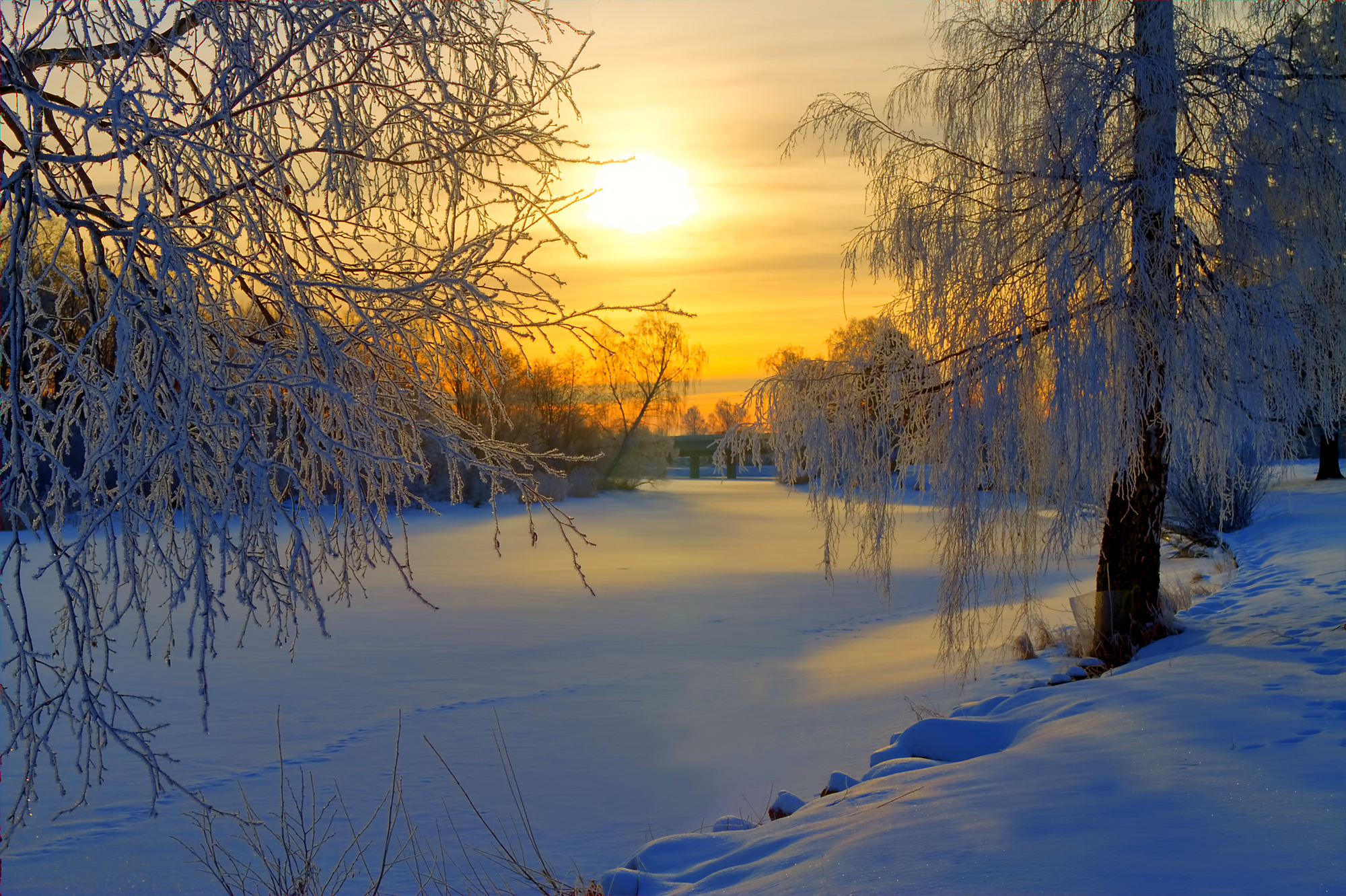 Прекрасного февраля картинки. Зимнее утро. Зимний пейзаж. Зимняя природа. Пейзажи природы зима.
