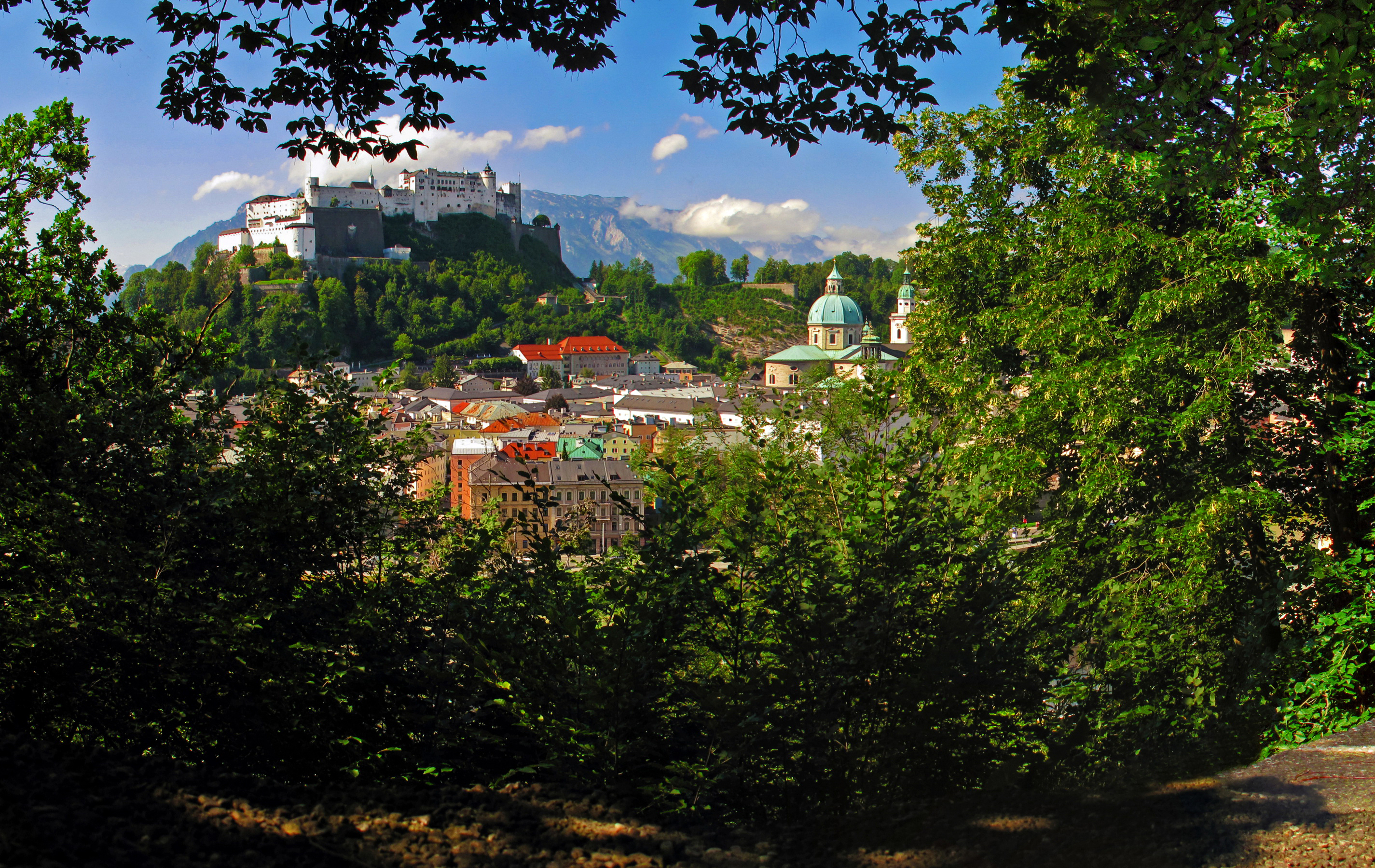 Обои горы, ветки, кусты, замок, город, австрия, дома, зальцбург, mountains, branches, the bushes, castle, the city, austria, home, salzburg разрешение 2850x1800 Загрузить