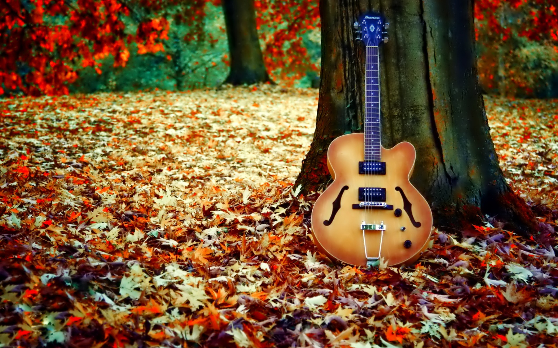 Обои дерево, листья, гитара, осень, листопад, tree, leaves, guitar, autumn, falling leaves разрешение 1920x1200 Загрузить