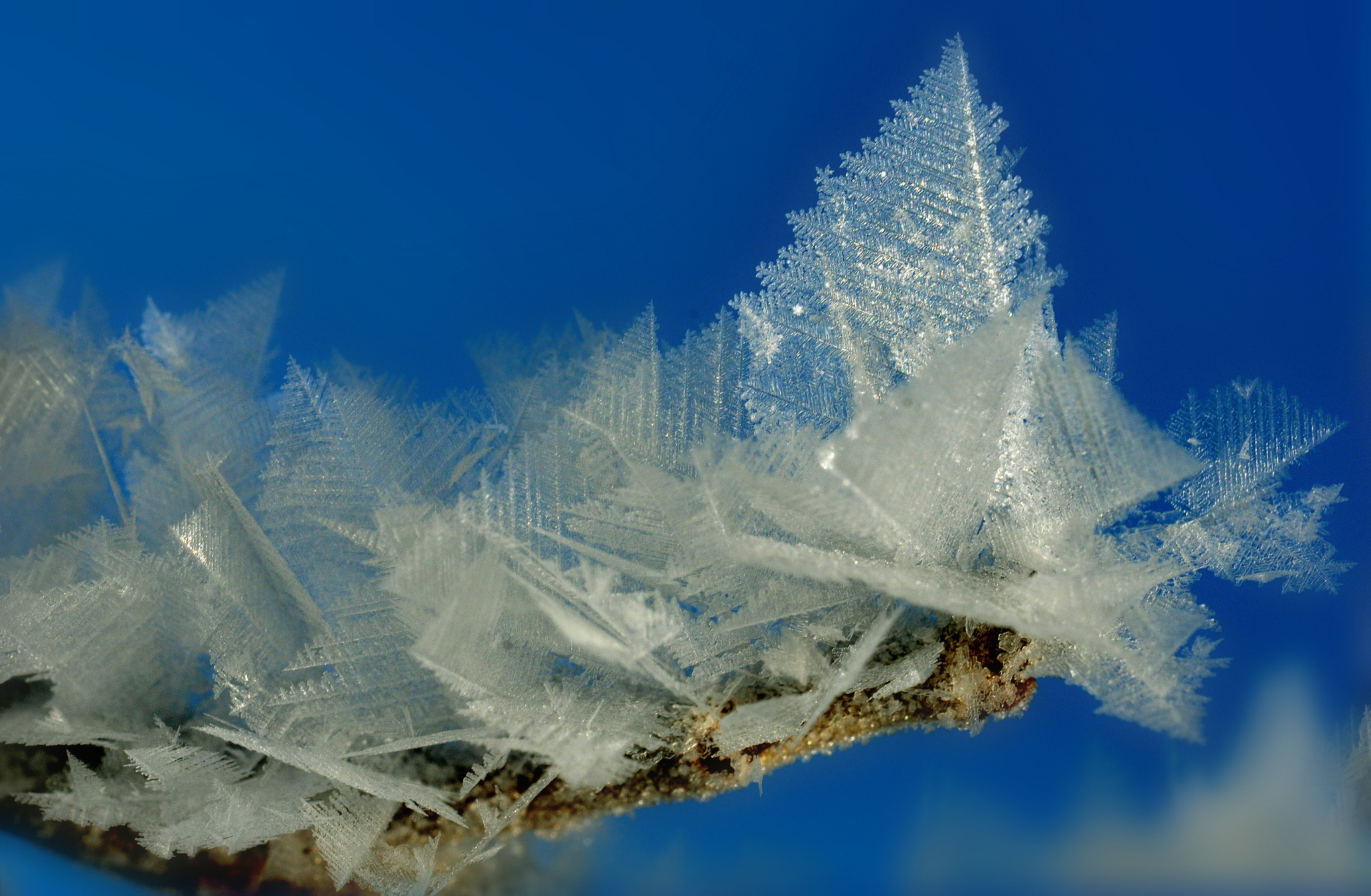 Обои ветка, фон, иней, кристаллы, branch, background, frost, crystals разрешение 2048x1338 Загрузить