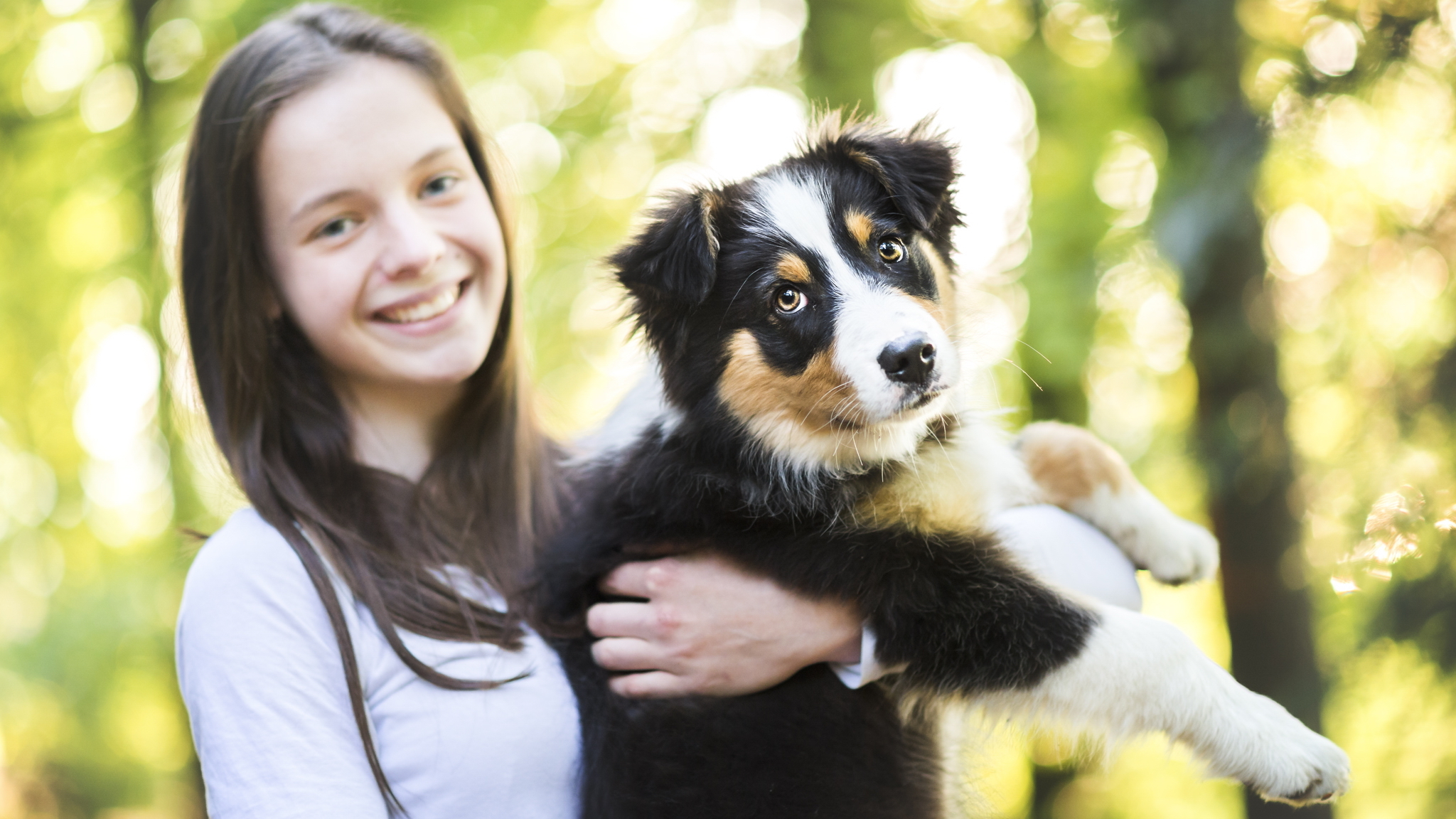 Puppygirl. Аусси австралийская. Аусси собака. Аусси с человеком. Австралийская овчарка и девушка.