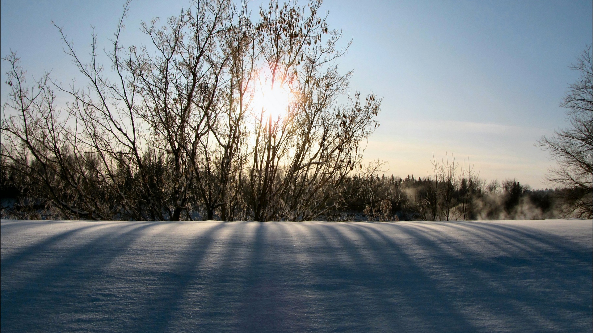 Обои солнце, снег, природа, зима, утро, кусты, the sun, snow, nature, winter, morning, the bushes разрешение 1920x1080 Загрузить