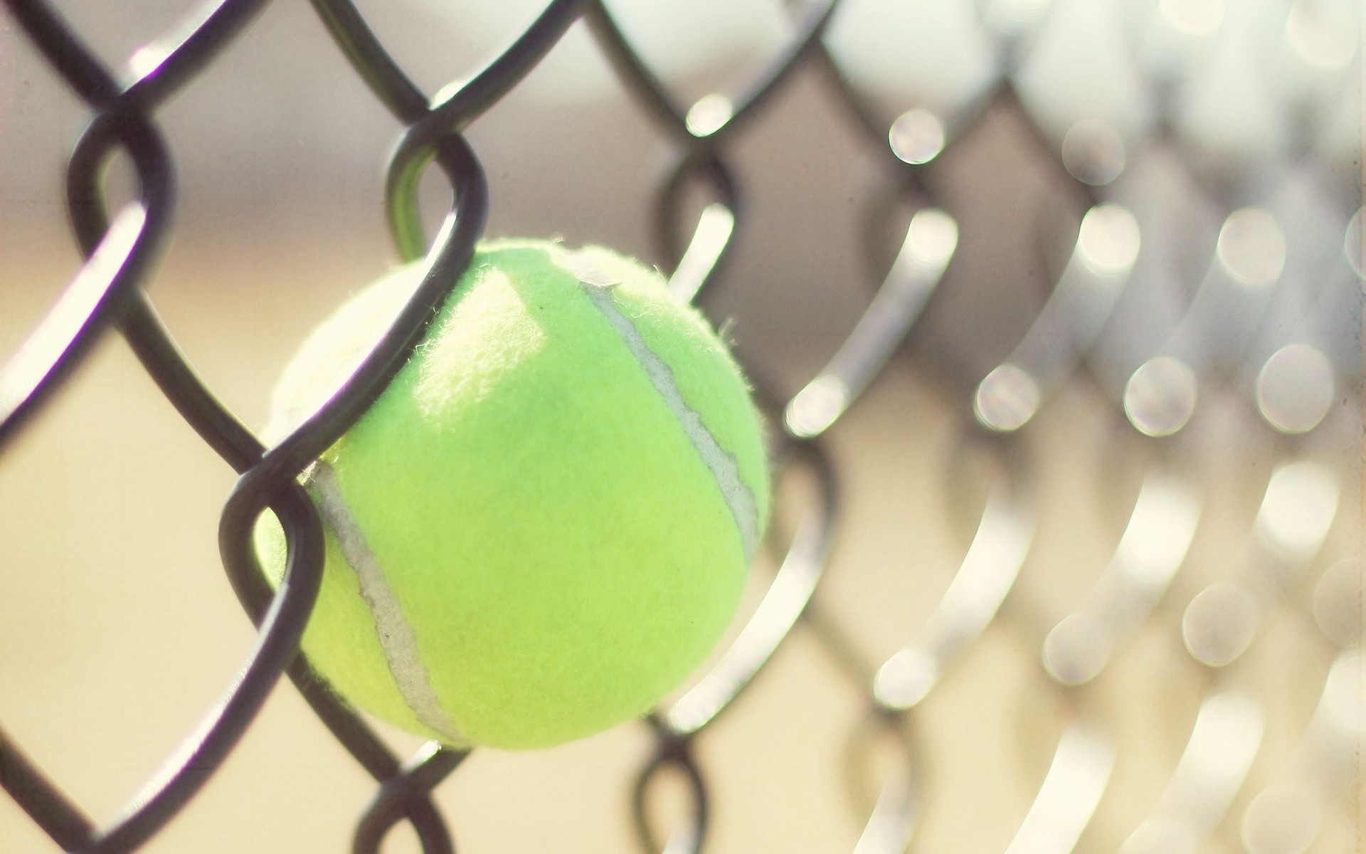 Обои забор, сетка, тенис, спорт, мяч, теннис, бал, the fence, mesh, tennis, sport, the ball, ball разрешение 1920x1200 Загрузить