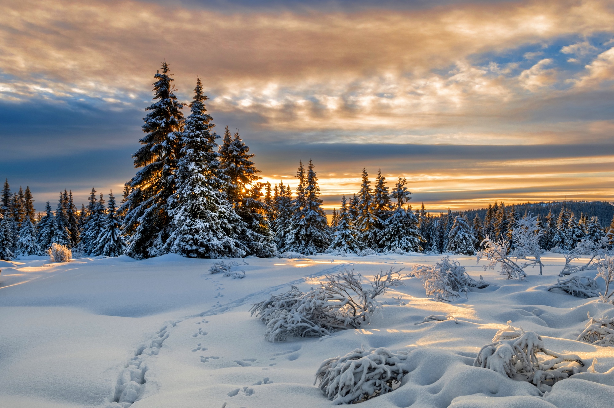 Красивая картинка со снегом. Зимний пейзаж. Зимняя природа. Красивая зима. Снежный пейзаж.