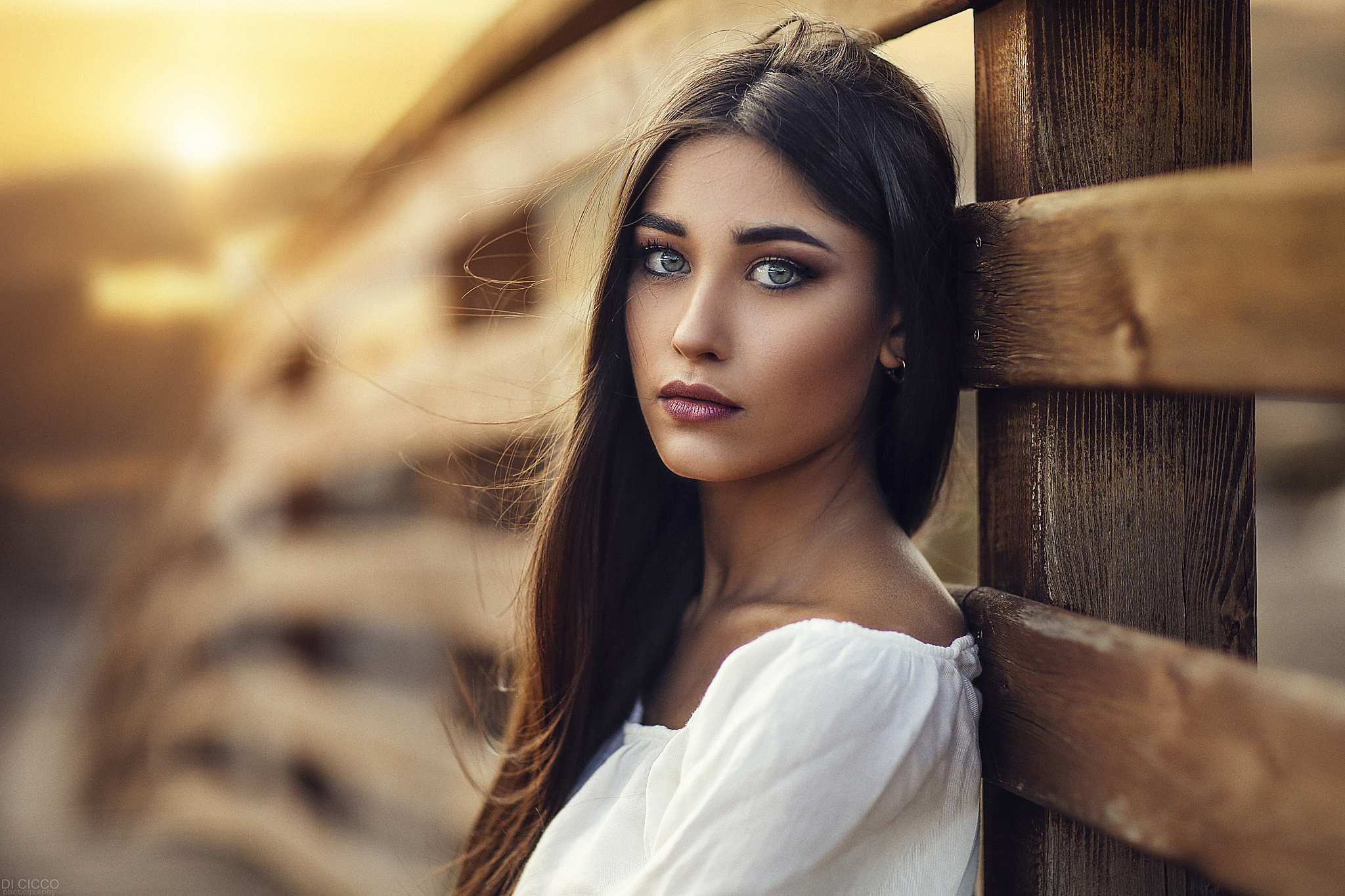 Girls photo. Алессандро ди Чикко портрет взгляд. Алессандро ди Чикко брюнетка. Alessandro di Cicco Клара Алонсо. Alessandro Cicco модель девушка.