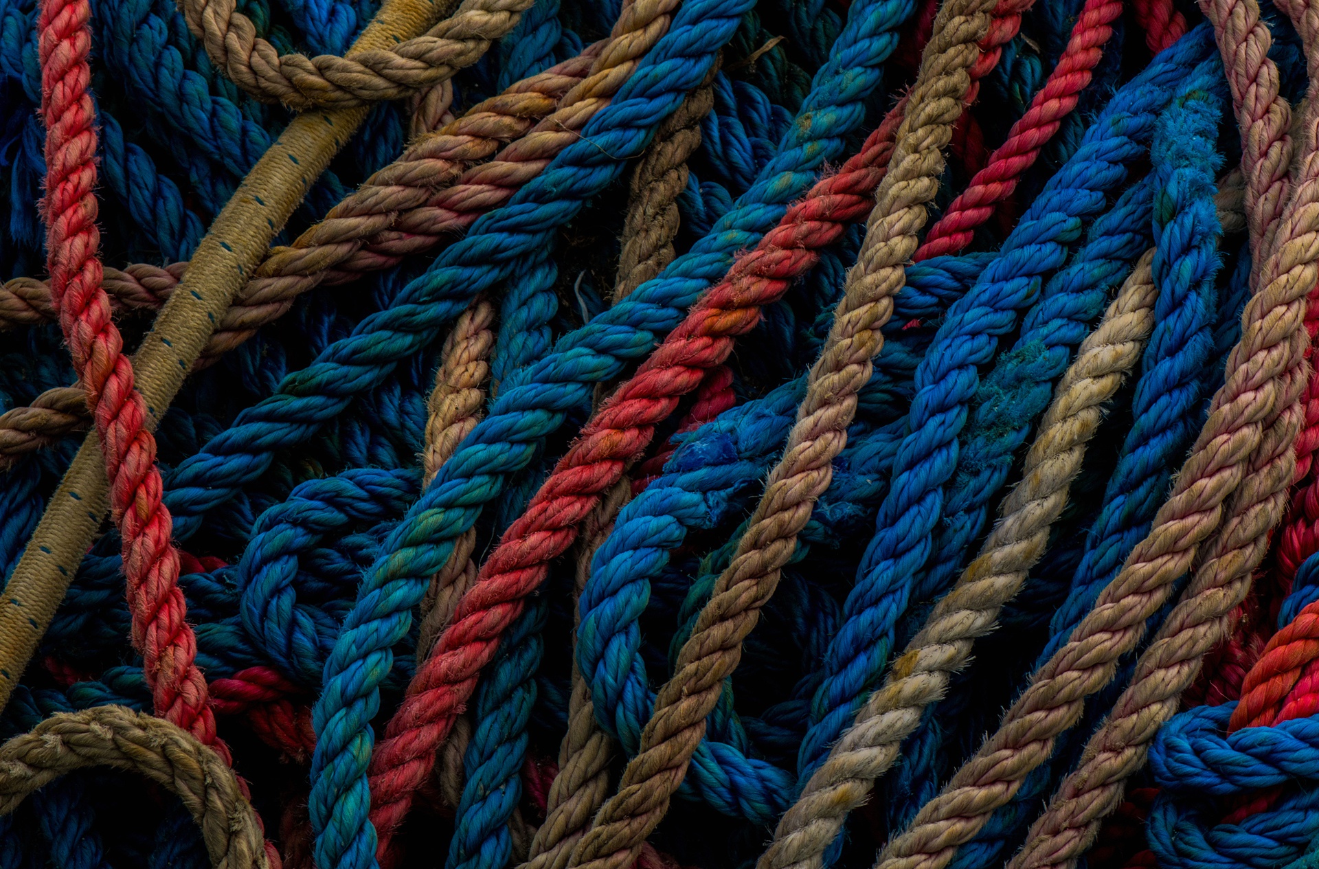 Обои макро, цвет, веревка, канат, веревочки, macro, color, rope разрешение 1920x1265 Загрузить