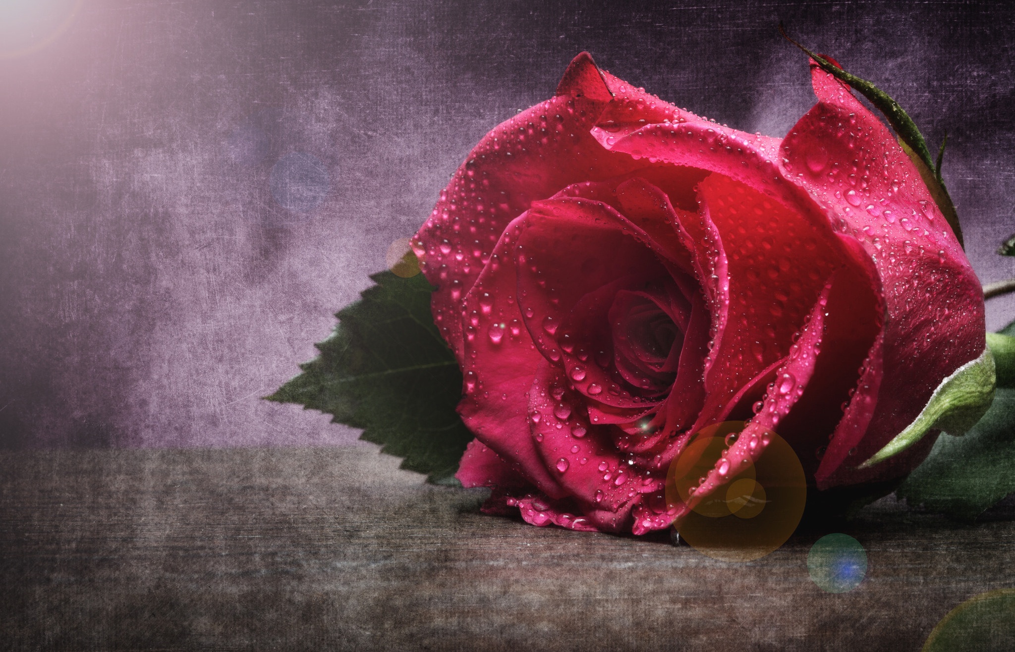 Замечательные розы. Розы. Розы макро. Красивые розы на рабочий стол. Красивые розы в росе.