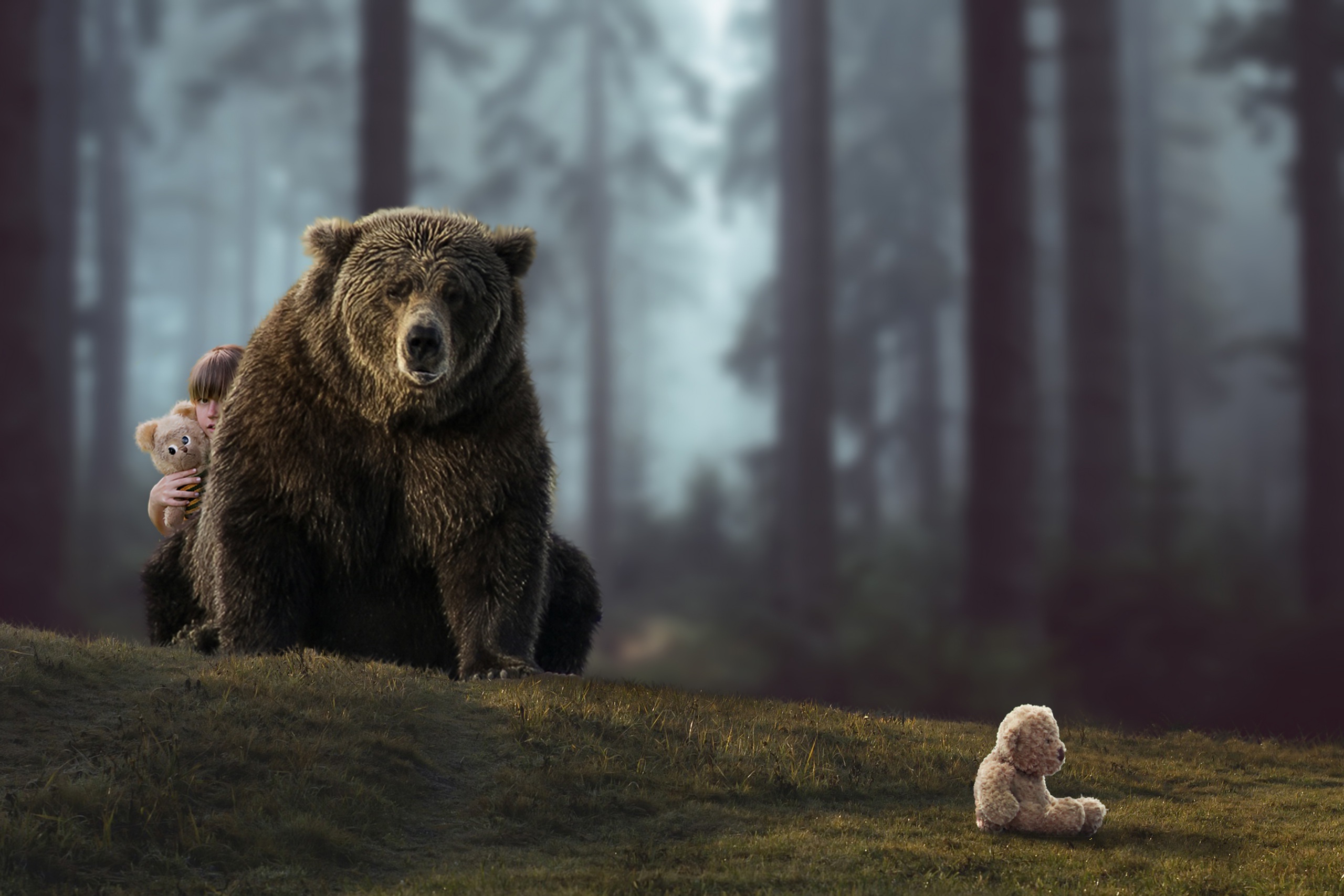 Лучшие фото медведей. Медведь Гризли. Медведь Гризли в лесу. Медведь Гризли фото. Бурый медведь.