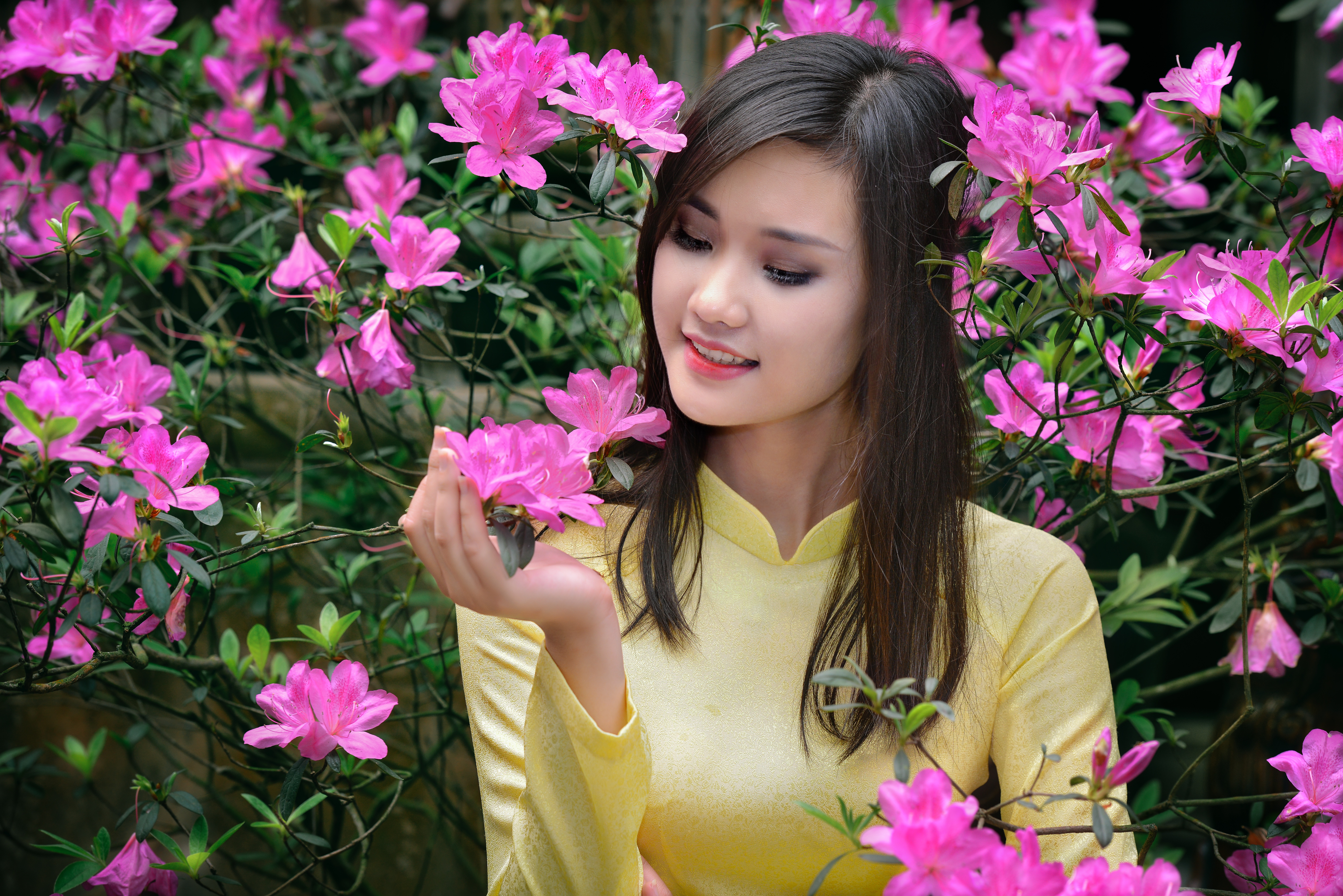 Asian Flowerr