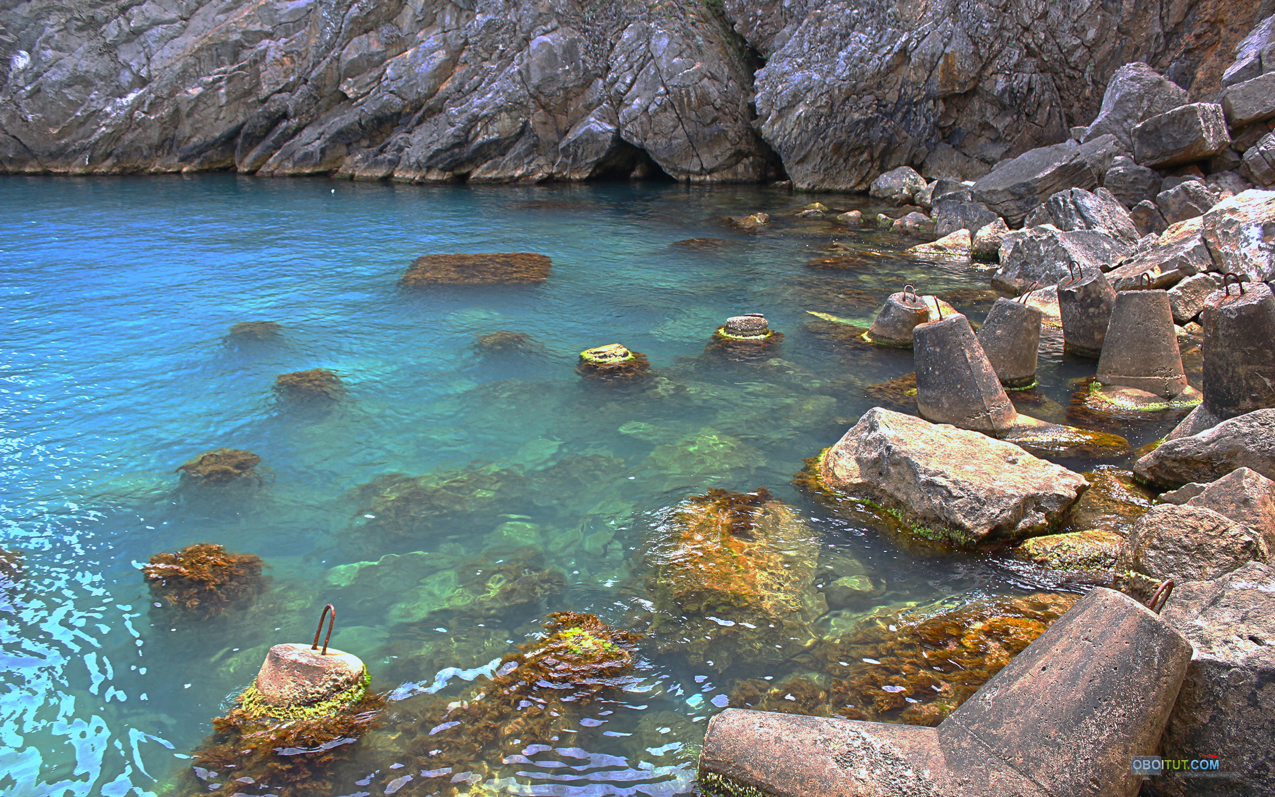 Coast water. Прозрачная вода. Море камни. Камни в прозрачной воде. Прибрежные камни.