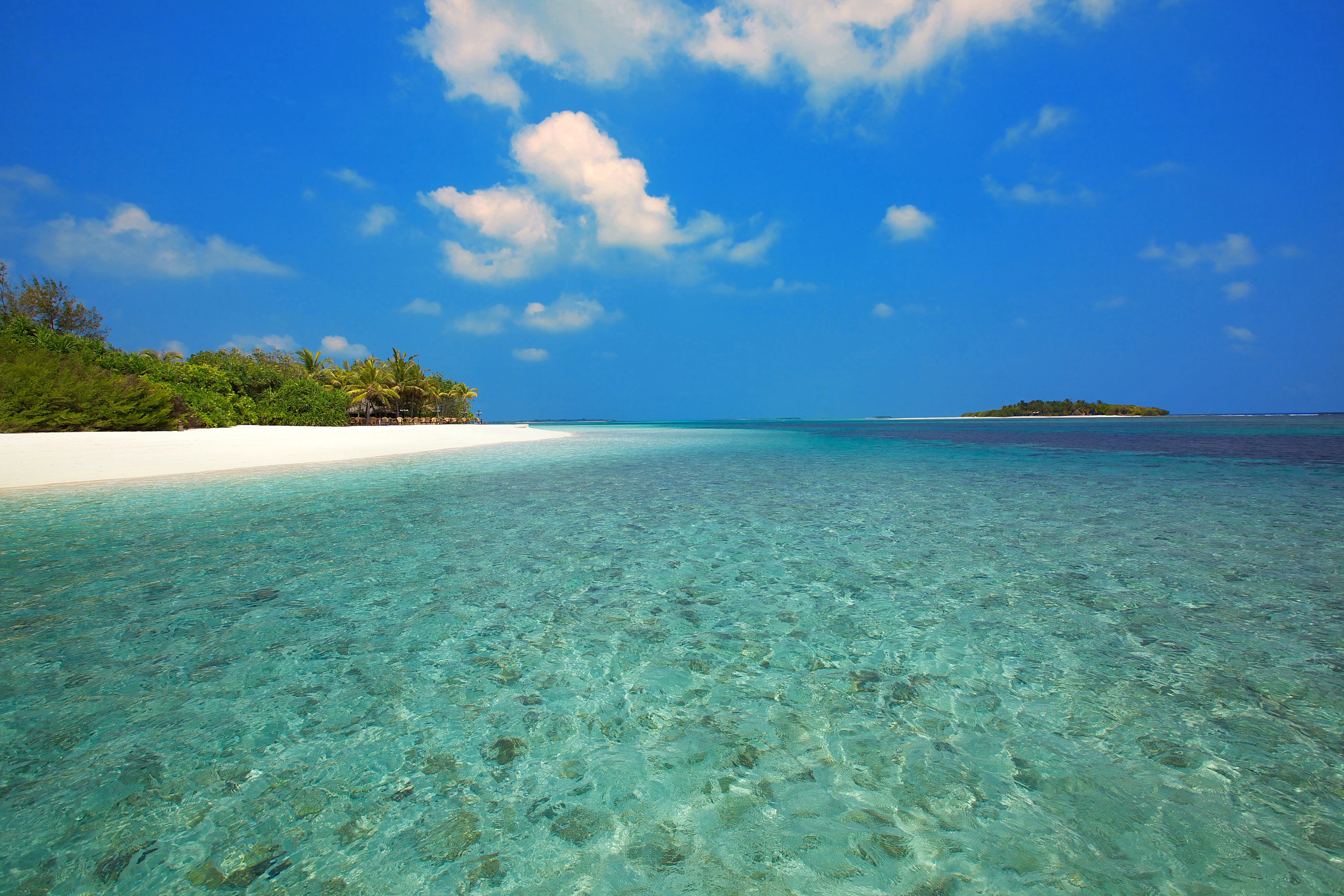 Обои море, пляж, острова, отдых, тропики, мальдивы, sea, beach, islands, stay, tropics, the maldives разрешение 5000x3333 Загрузить