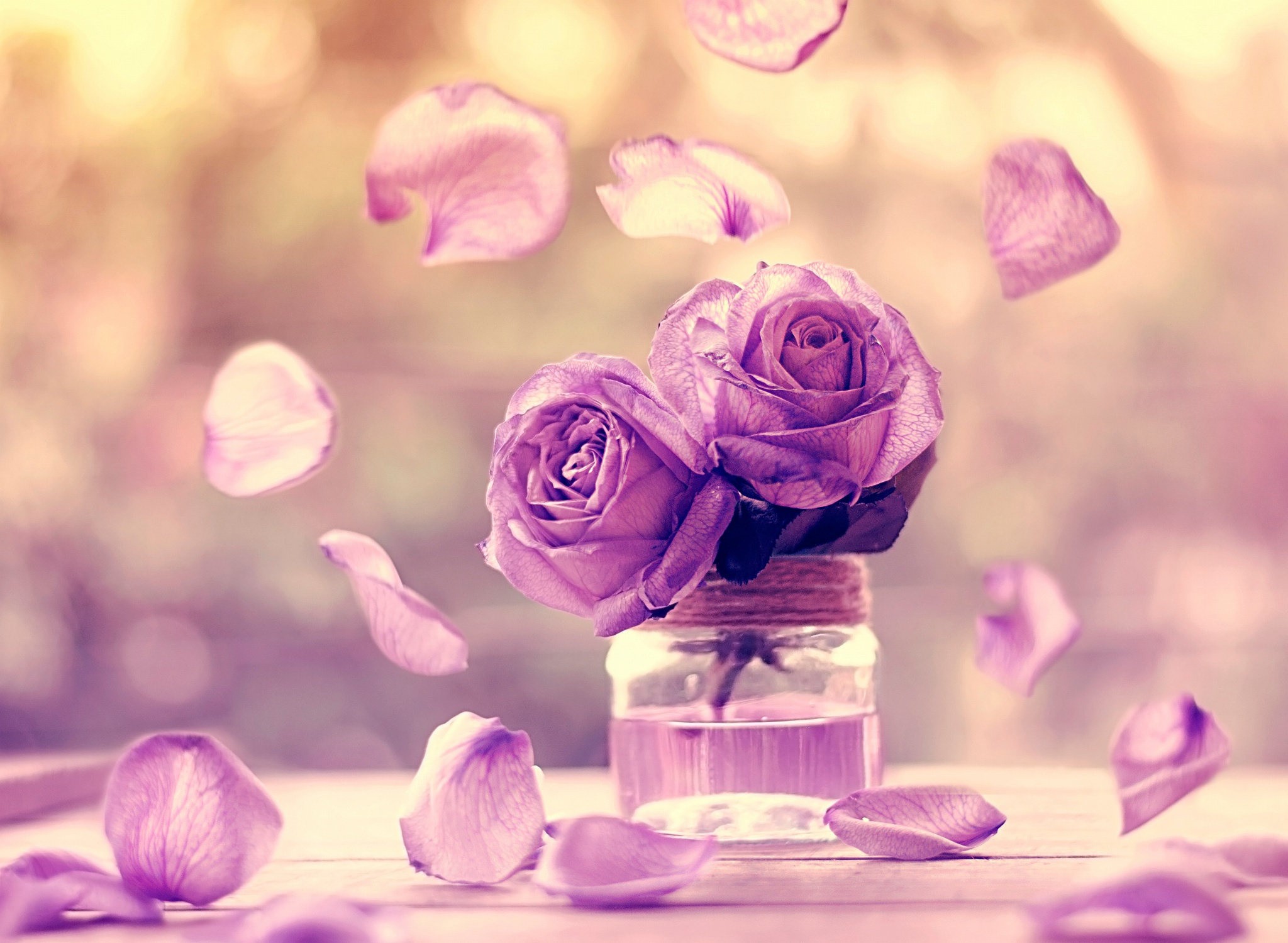 Лилово розовые цветы. Фиолетовые цветы. Сиреневые цветы. Розово фиолетовые цветы. Красивые фиолетовые цветы.