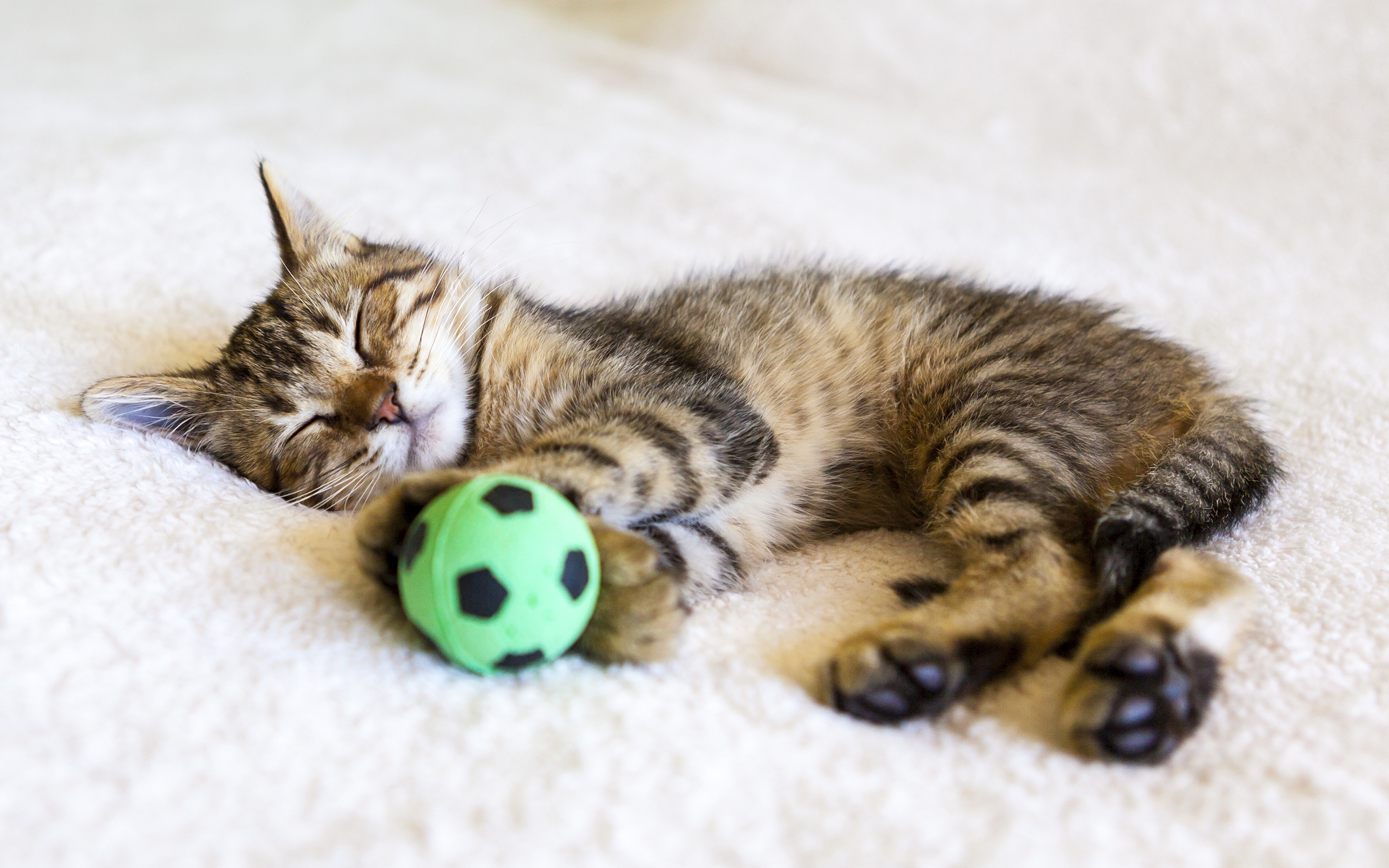 Обои кот, кошка, сон, котенок, мяч, cat, sleep, kitty, the ball разрешение 2880x1800 Загрузить