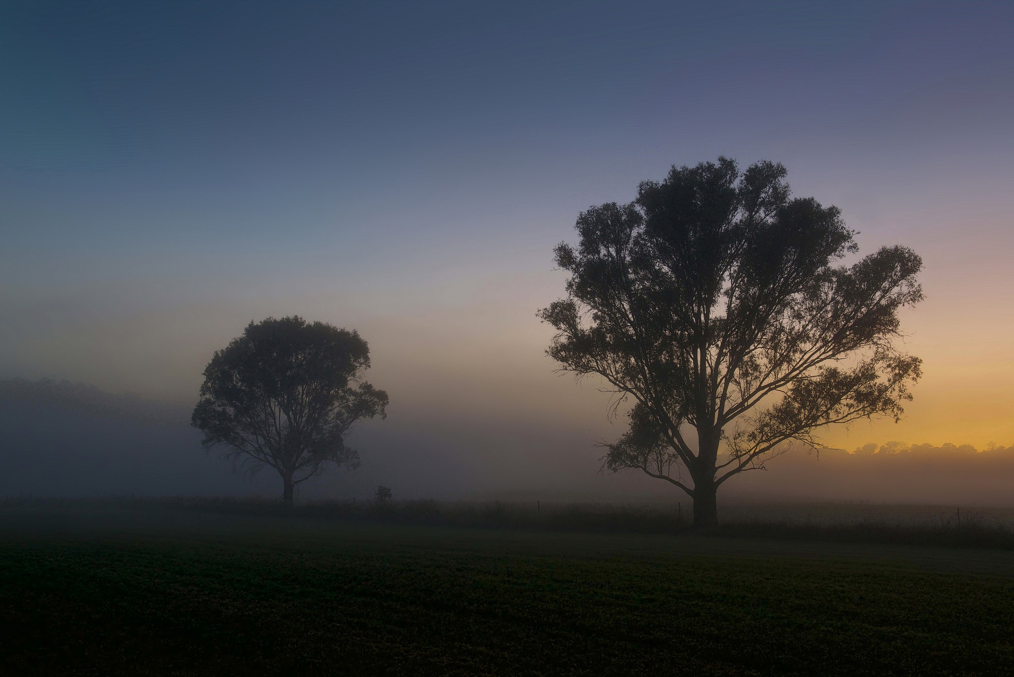Обои деревья, утро, туман, поле, рассвет, лето, trees, morning, fog, field, dawn, summer разрешение 2048x1367 Загрузить