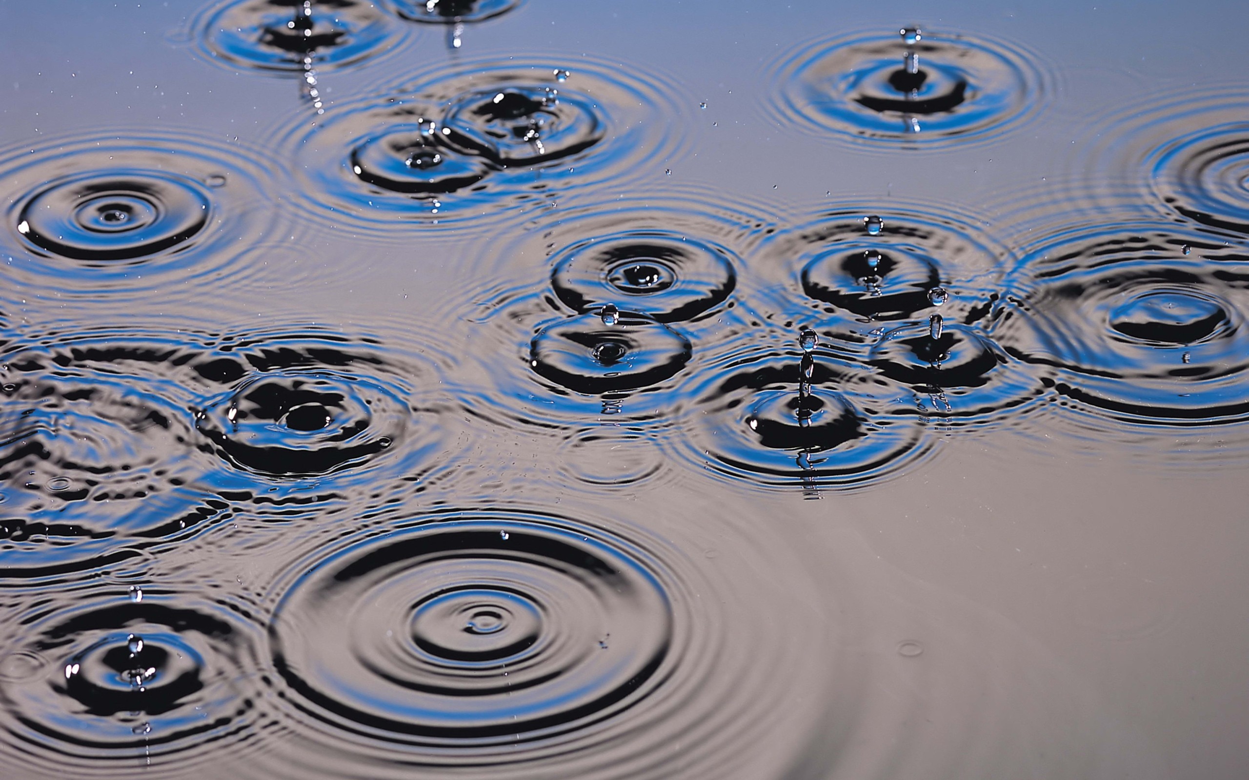 Обои вода, капли, брызги, круги, water, drops, squirt, circles разрешение 2560x1600 Загрузить