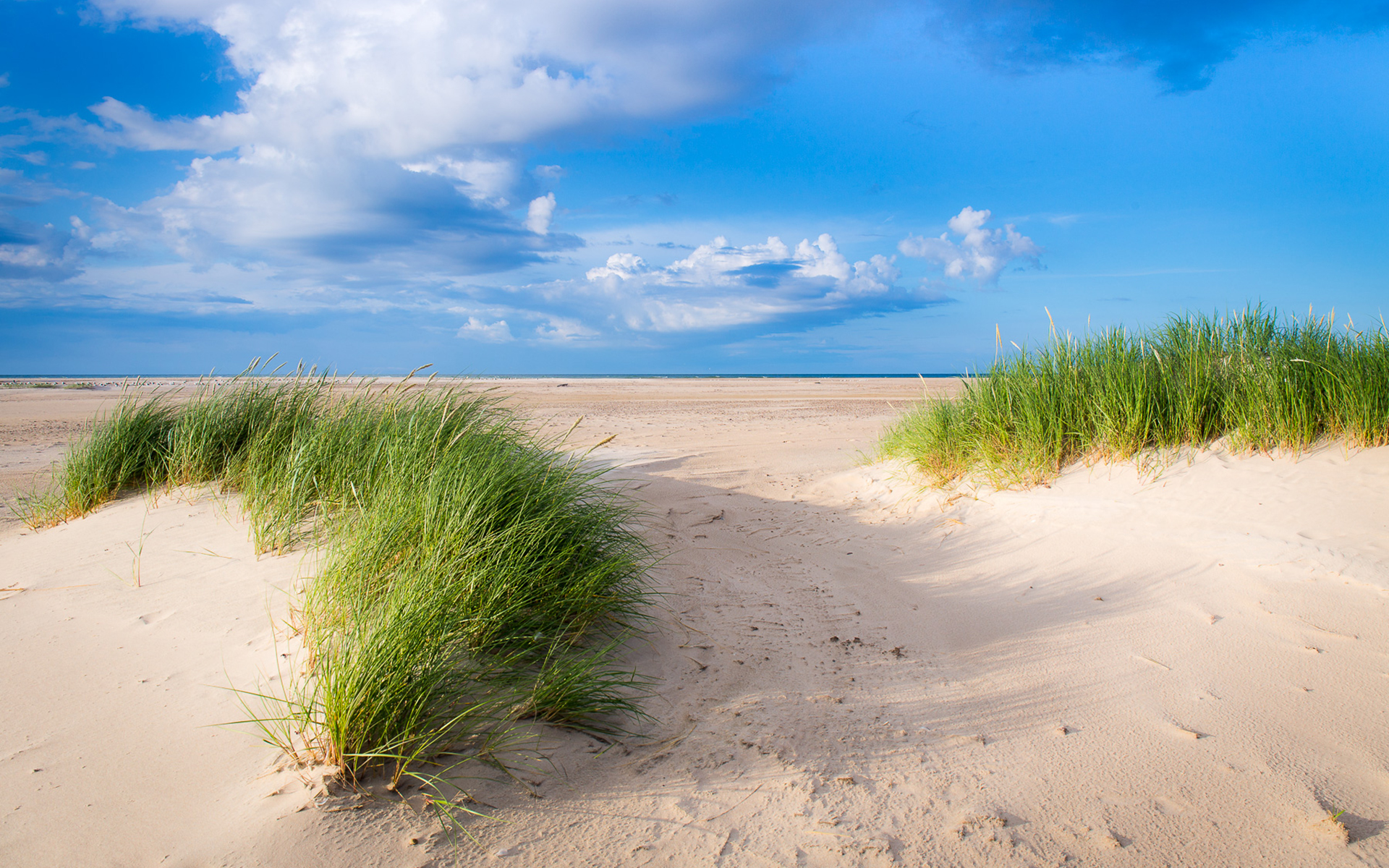 Обои небо, трава, облака, пейзаж, песок, дюны, the sky, grass, clouds, landscape, sand, dunes разрешение 1920x1200 Загрузить