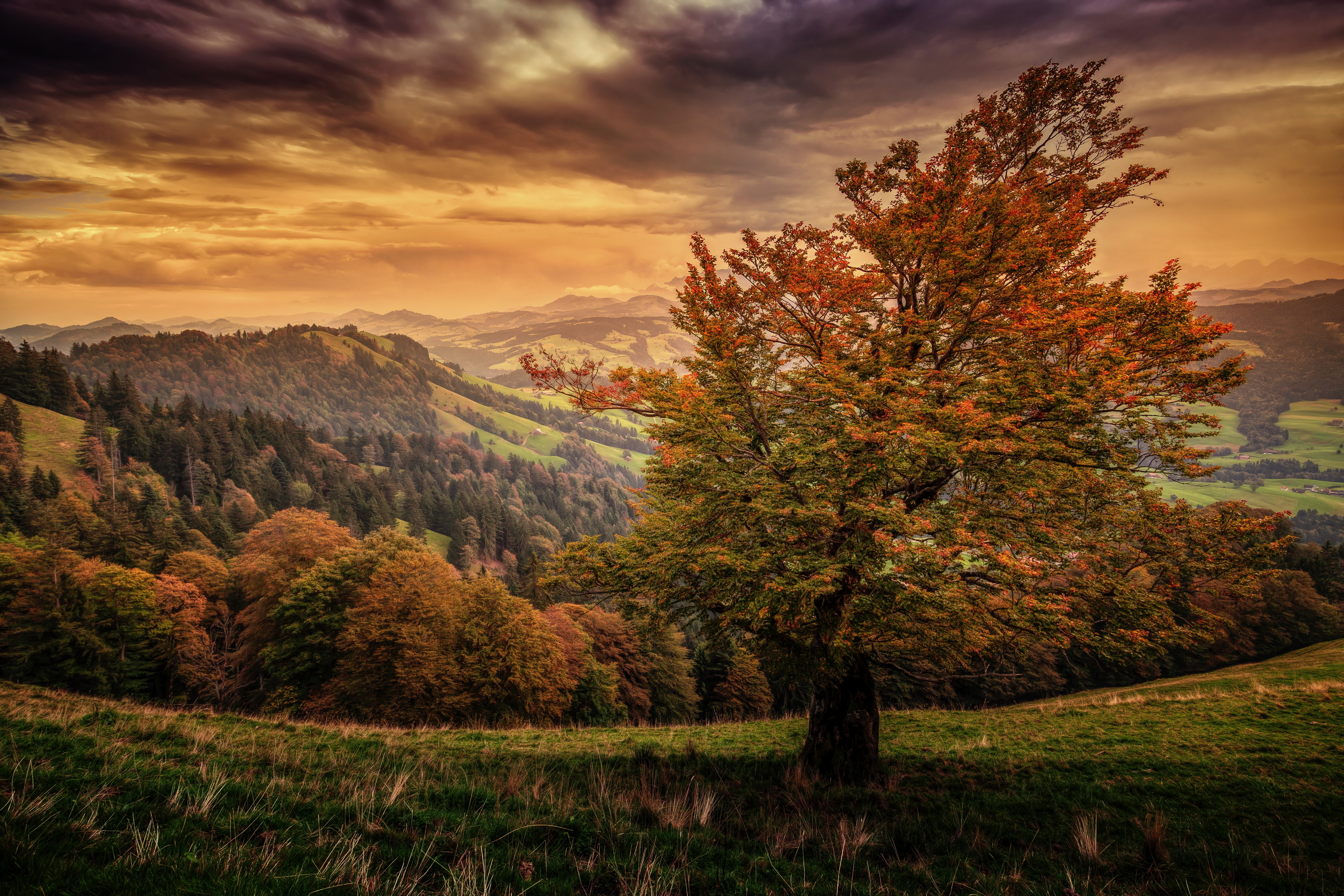 Обои небо, горы, природа, осень, швейцария,     деревья, the sky, mountains, nature, autumn, switzerland, trees разрешение 5616x3744 Загрузить