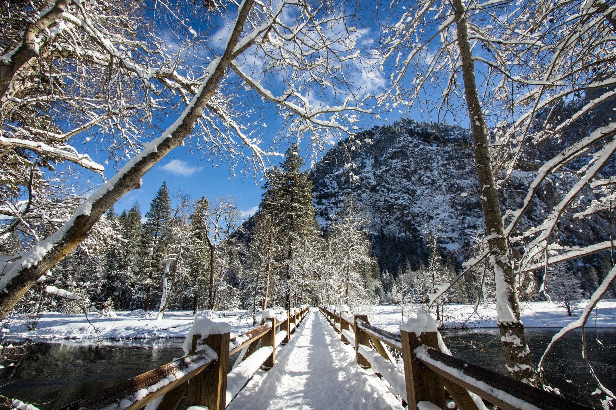 Звуки природы зимой. Сочинский национальный парк зима. Йосемити национальный парк зимой. Зимний мост. Мост зима лес.