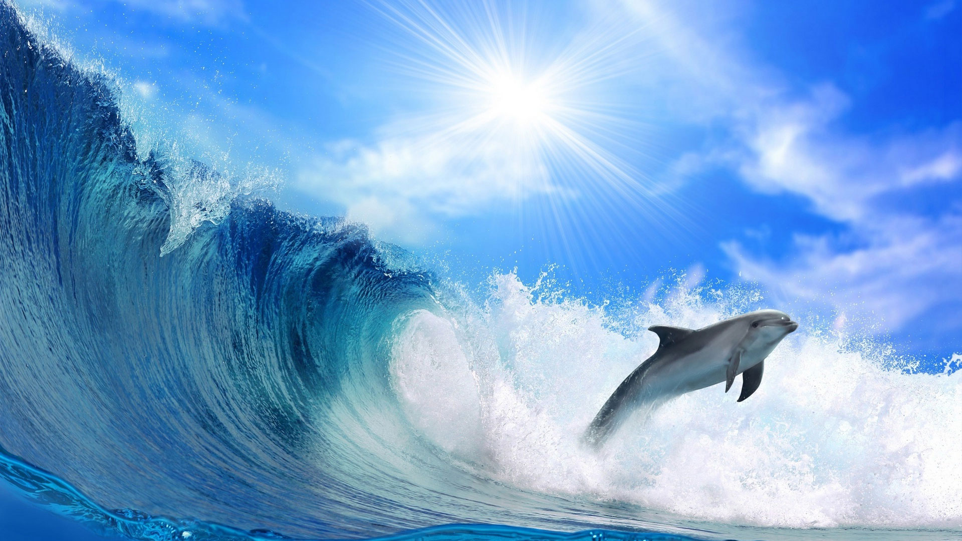 Обои море, прыжок, блеск, дельфин, солнечный свет, sea, jump, shine, dolphin, sunlight разрешение 1920x1080 Загрузить