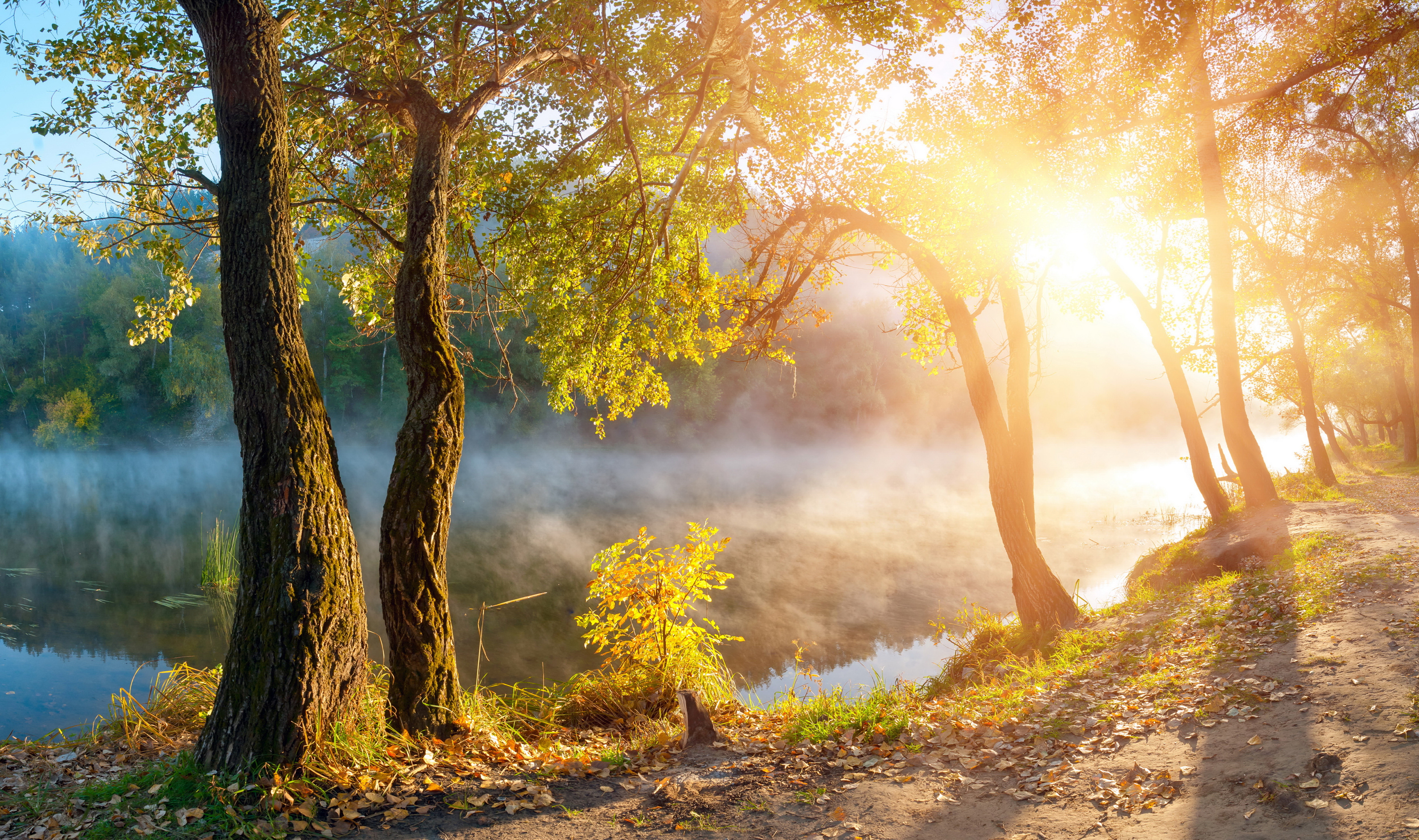 Обои деревья, озеро, солнце, туман, рассвет, осень, олнце, trees, lake, the sun, fog, dawn, autumn разрешение 5000x2960 Загрузить