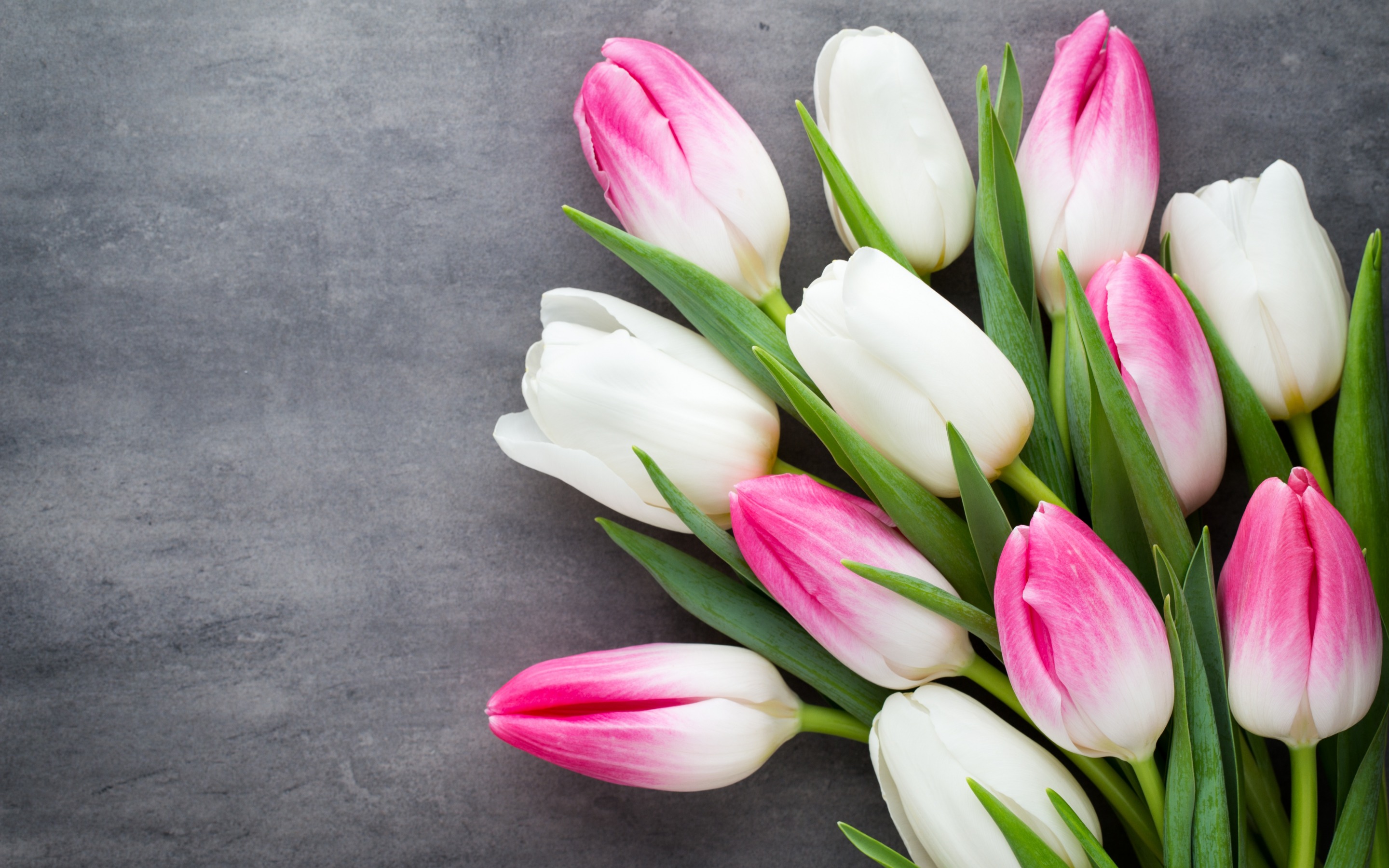 Обои цветы, бутоны, букет, тюльпаны, flowers, buds, bouquet, tulips разрешение 2880x1800 Загрузить