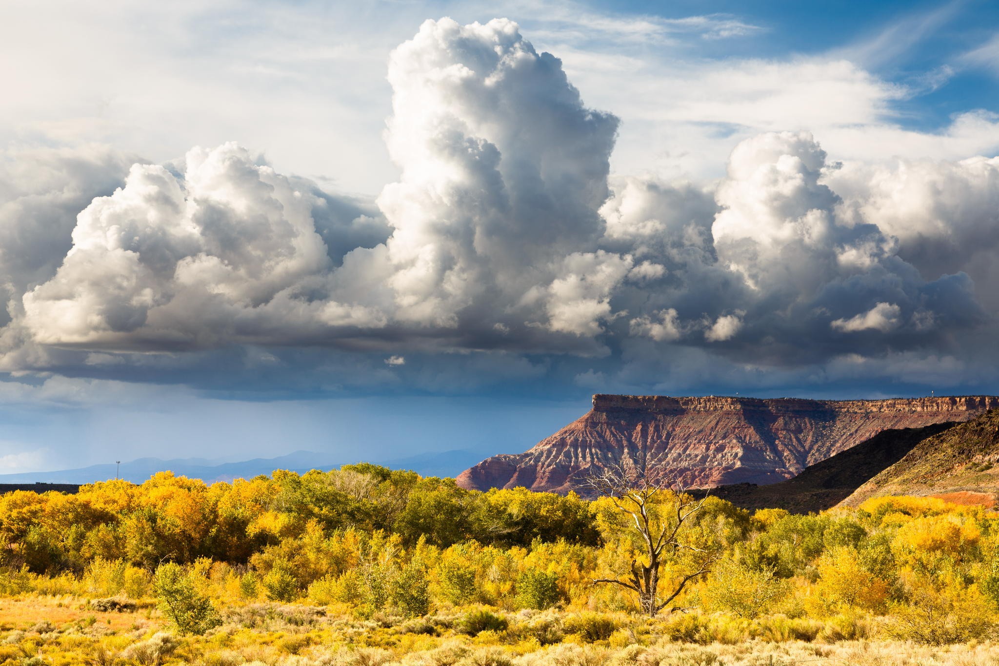 Обои небо, холм, облака, долина, природа, zion national park, горный хребет, пейзаж, поле, горизонт, луг, пастбище, the sky, hill, clouds, valley, nature, mountain range, landscape, field, horizon, meadow, pasture разрешение 2048x1365 Загрузить