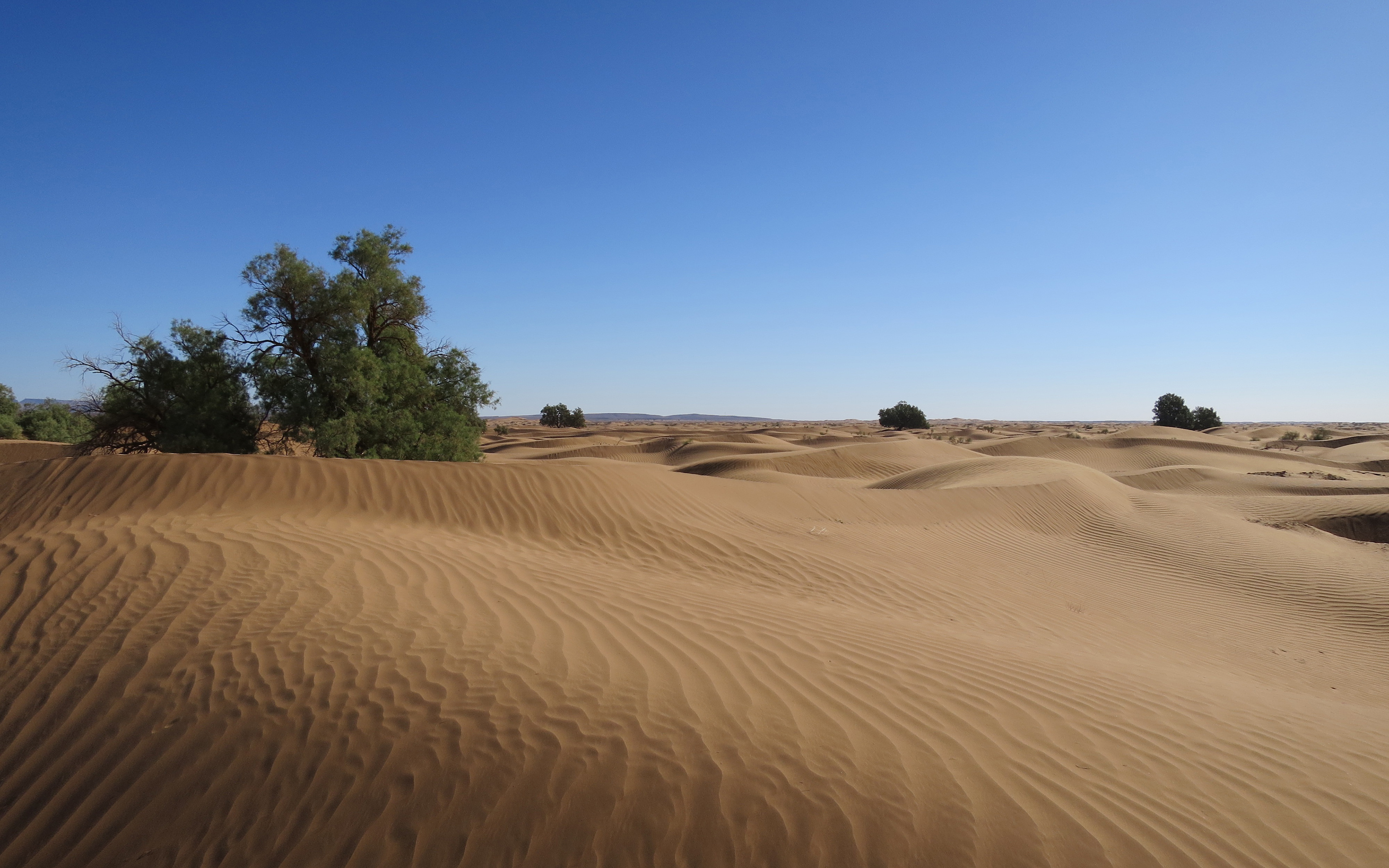 Обои природа, пейзаж, песок, пустыня, дюны, nature, landscape, sand, desert, dunes разрешение 3840x2400 Загрузить
