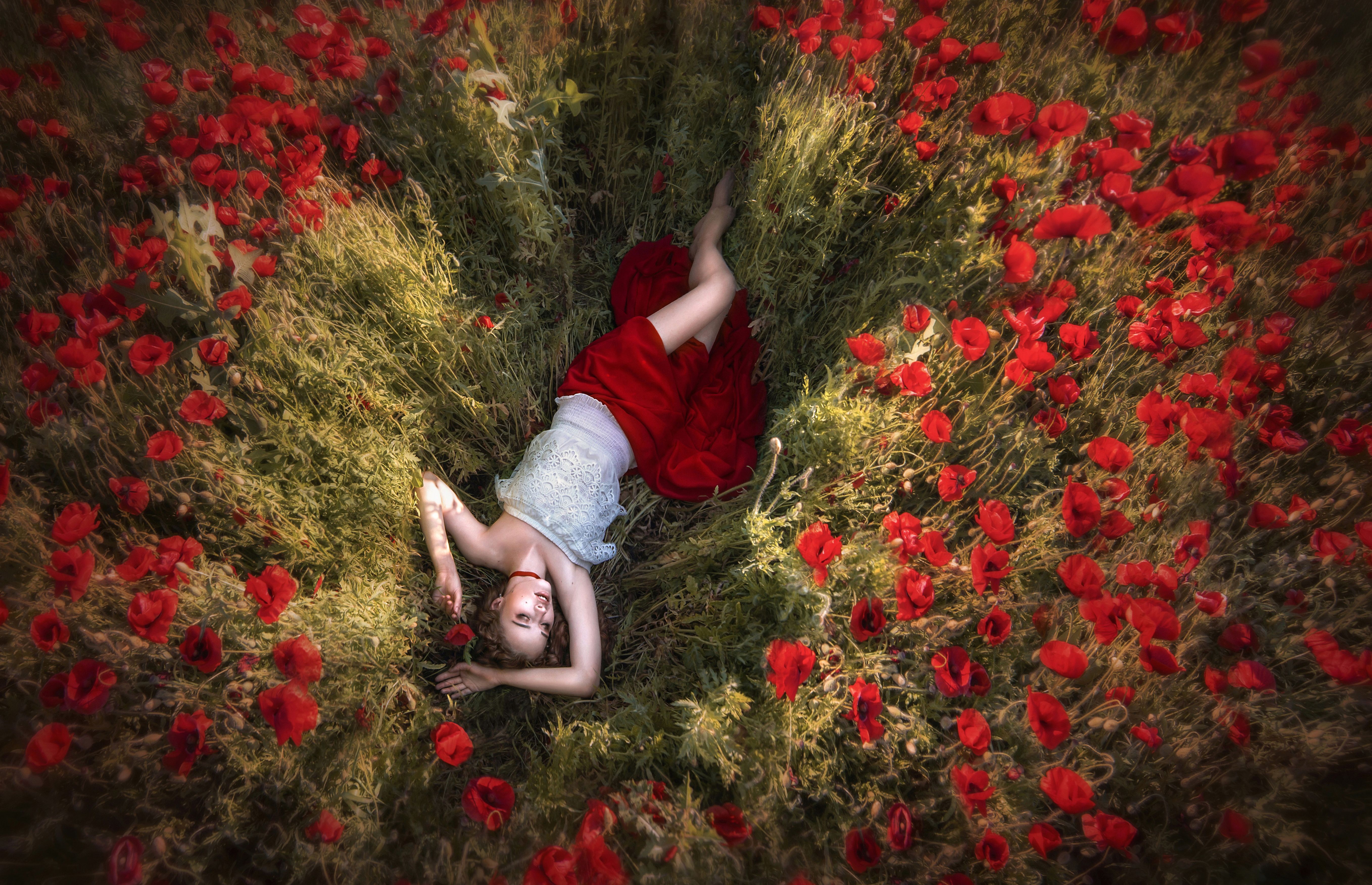 Лежать в забытьи. Человек лежит в цветах. Фотосессия в маковом поле. Лежит в цветах.