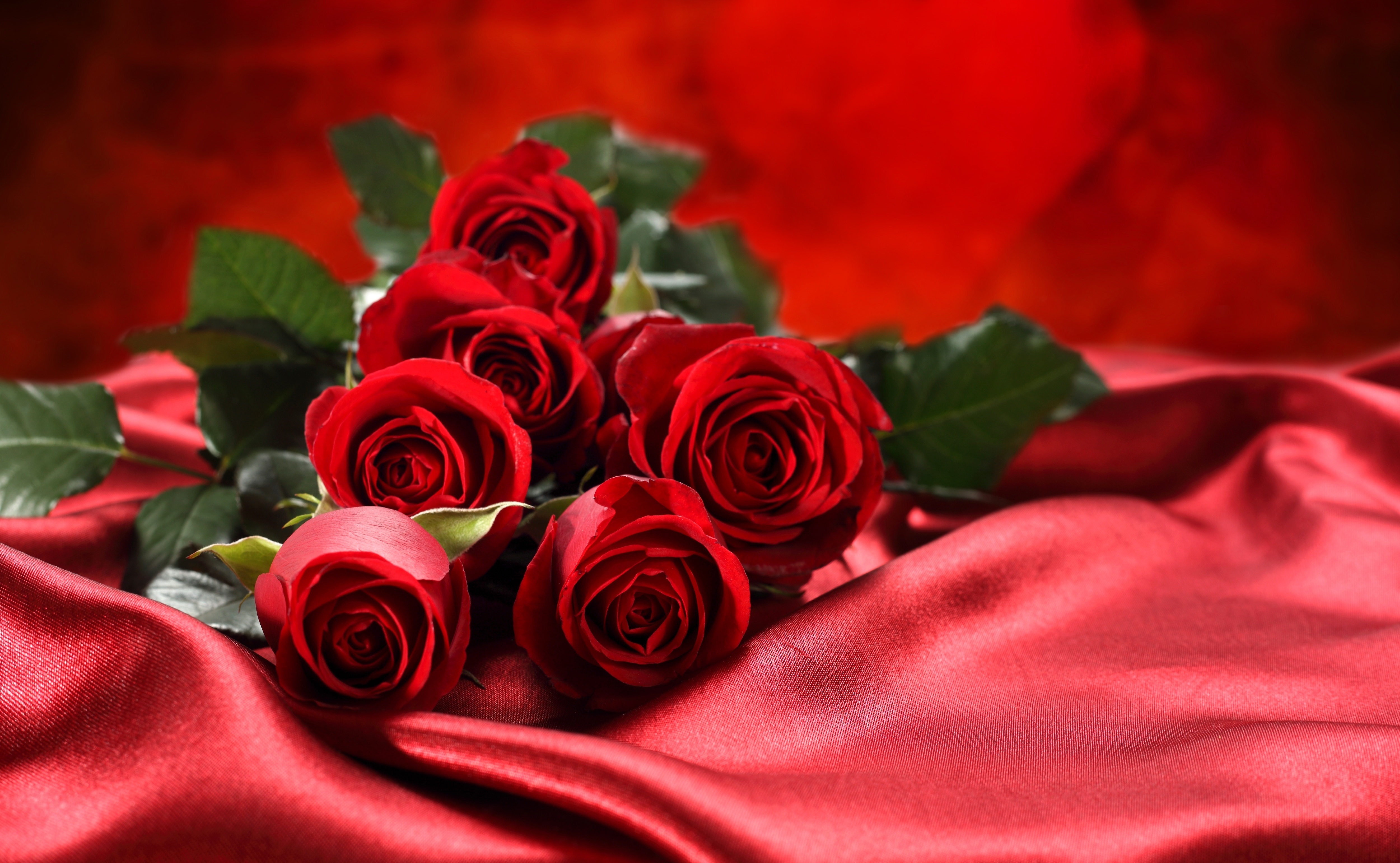 Красивые видео любимой женщине. Фиолетовые розы. Красные розы. Розы картинки красивые. Красивый букет роз.