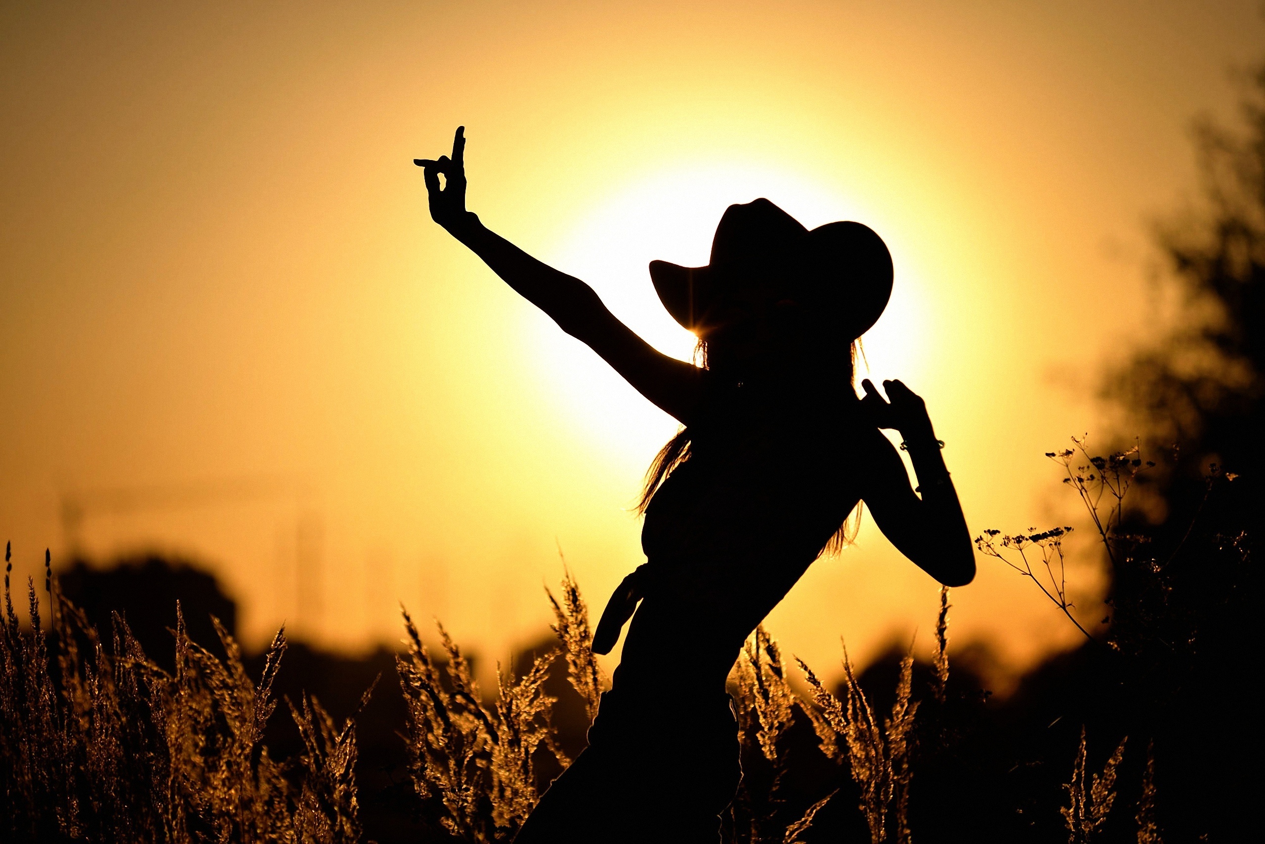 Обои трава, солнце, закат, девушка, колоски, силуэт, шляпа, grass, the sun, sunset, girl, spikelets, silhouette, hat разрешение 2560x1709 Загрузить