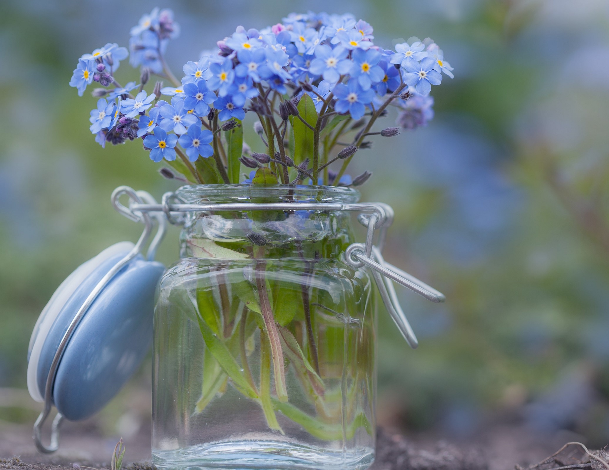 Стеклянный синий цветок. Букет незабудок. Полевые цветы в вазе. Полевые цветы в прозрачной вазе. Нежные незабудки.