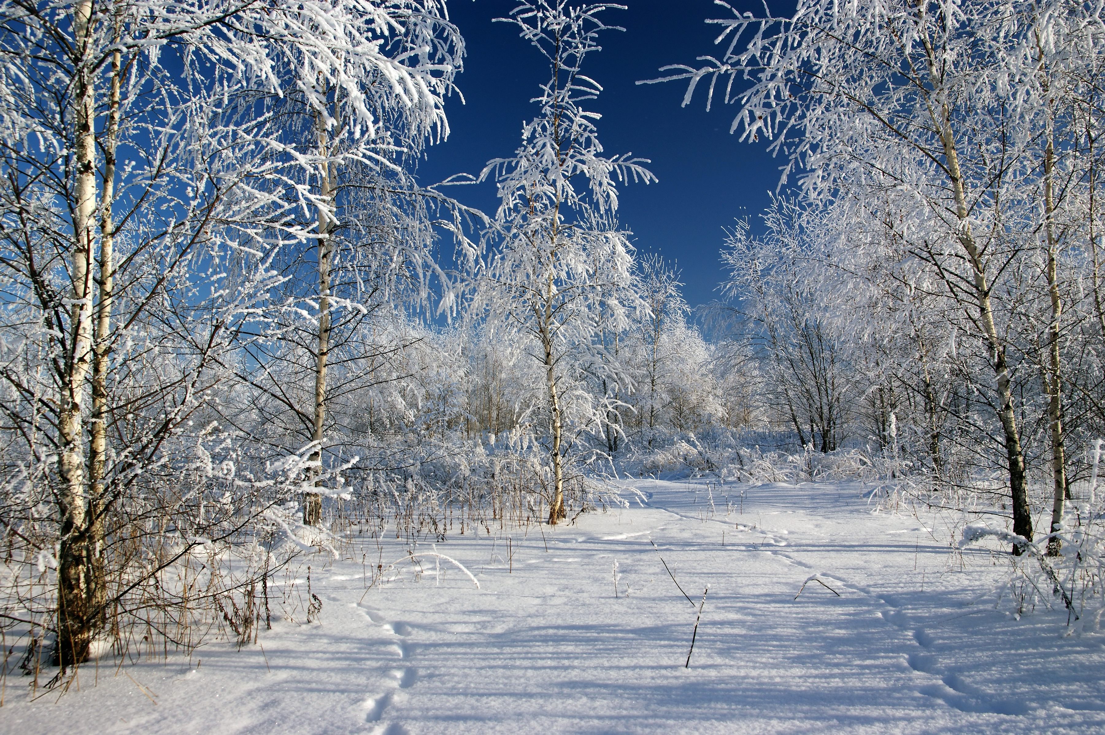 Название фото зима. Зима в России. Зимний пейзаж. Зима в средней полосе России. Природа России зимой.