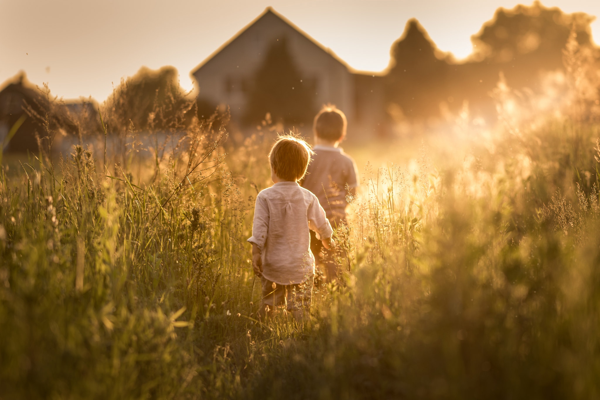 Обои трава, солнце, растения, лето, дети, дома, мальчики, iwona podlasinska, grass, the sun, plants, summer, children, home, boys разрешение 2048x1365 Загрузить